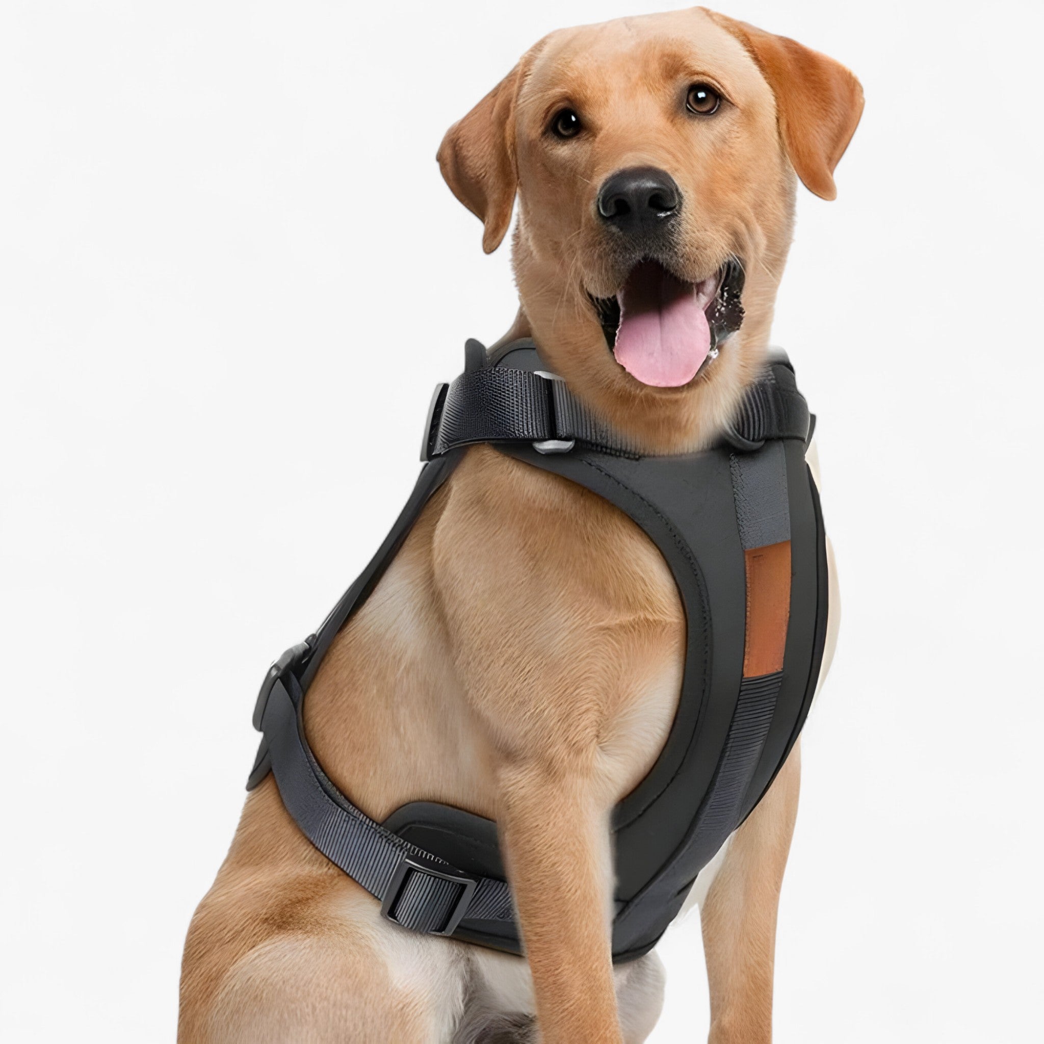 ComfyPaws | Set imbracatura da passeggio (include cintura e porta sacchetti per escrementi) - Nero - dog harness dog leashes - Concept Palermo