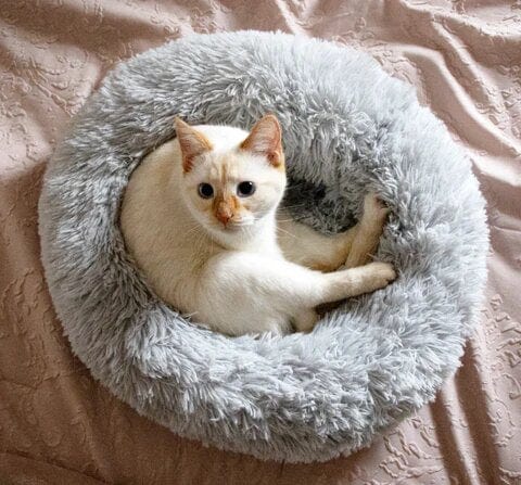 Letto arioso e rilassante - - 30% korting all Dierenbenodigdheden new_for_google_may Pets - Concept Palermo