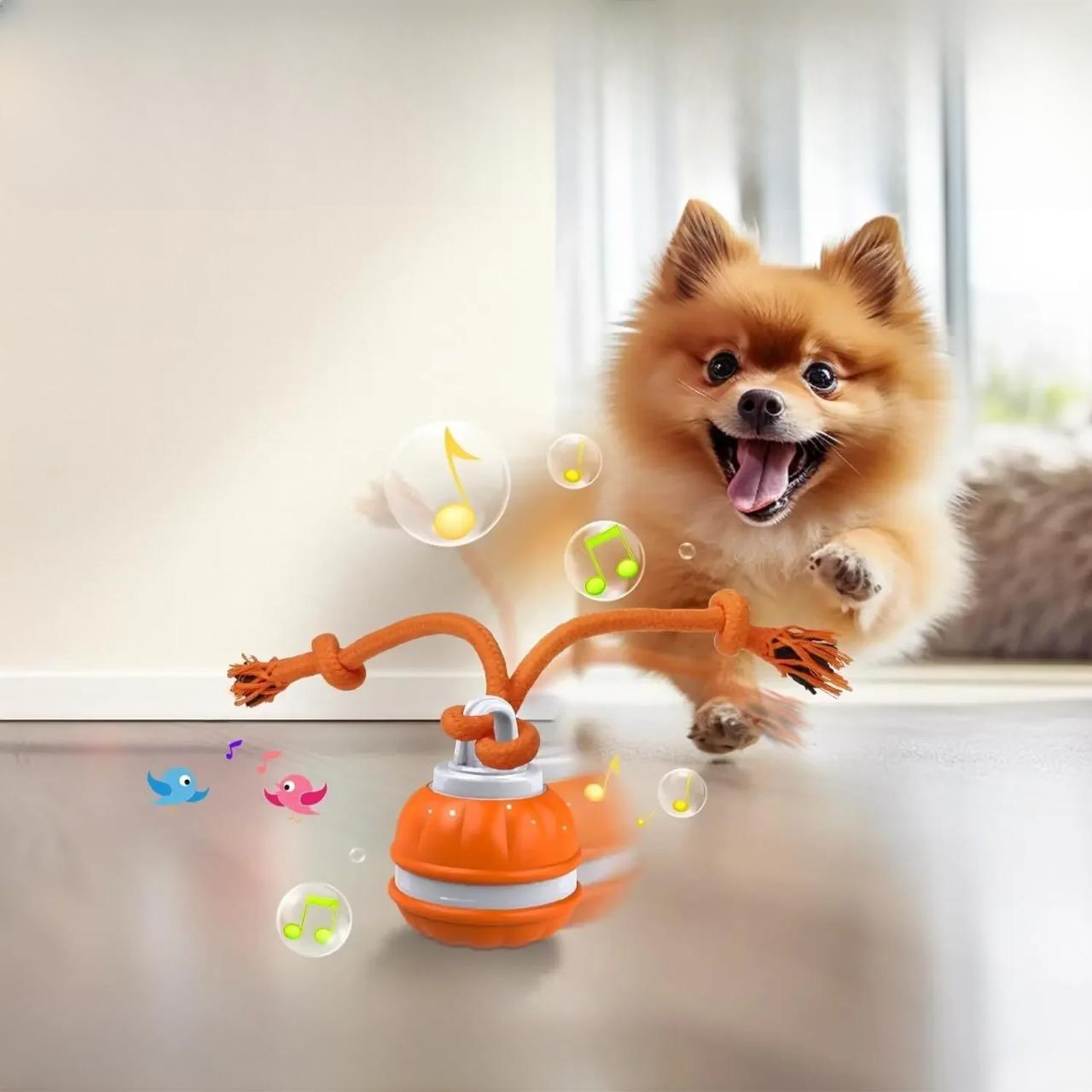 PupPlay™ | Divertimento forte e duraturo - - dog toys hondenspeelgoed kattenspeeltjes Plush Dog Toys speelgoed - Concept Palermo