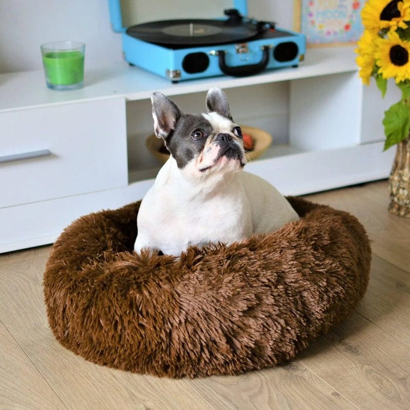 Letto arioso e rilassante - - 30% korting all Dierenbenodigdheden new_for_google_may Pets - Concept Palermo