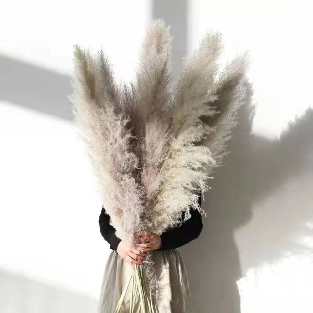 FeatherFawn - Fiori di pampa essiccati - - Decor home home decor - Concept Palermo