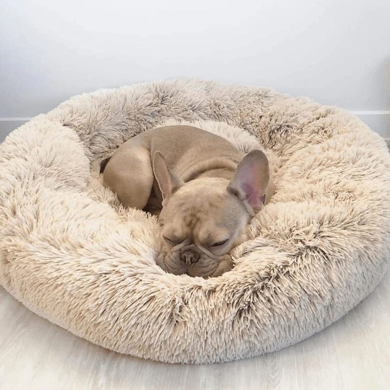 Letto arioso e rilassante - Beige - 30% korting all Dierenbenodigdheden new_for_google_may Pets - Concept Palermo