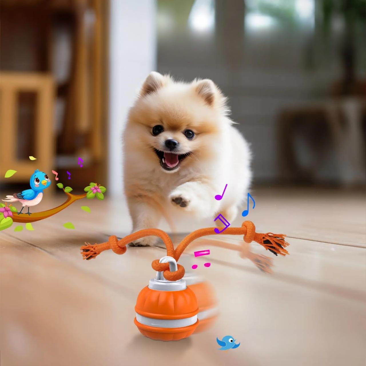 PupPlay™ | Divertimento forte e duraturo - - dog toys hondenspeelgoed kattenspeeltjes Plush Dog Toys speelgoed - Concept Palermo