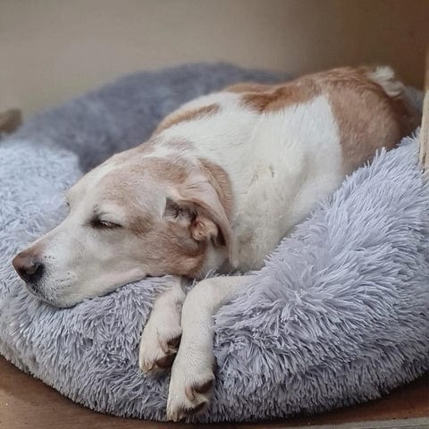 Letto arioso e rilassante - - 30% korting all Dierenbenodigdheden new_for_google_may Pets - Concept Palermo