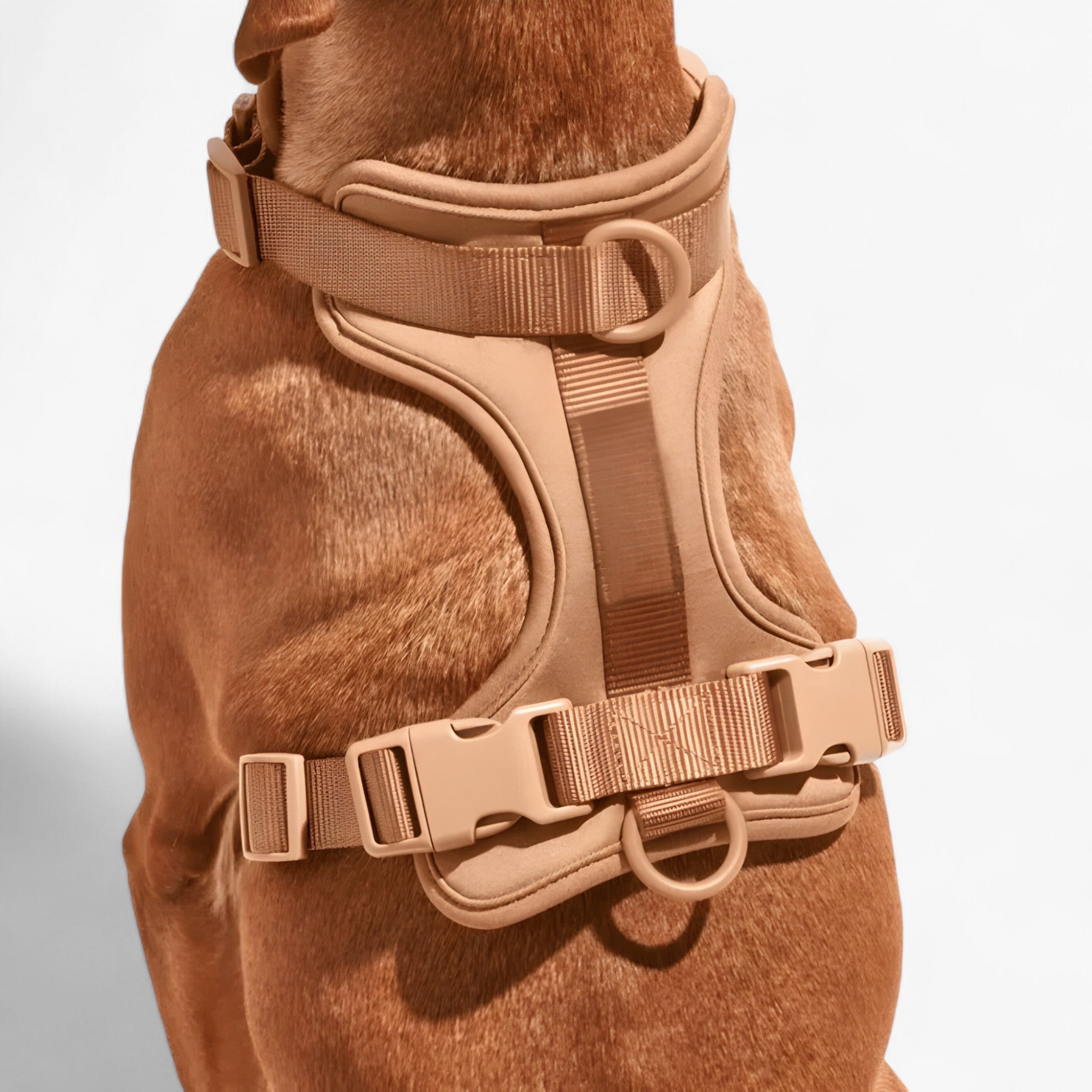 ComfyPaws | Set imbracatura da passeggio (include cintura e porta sacchetti per escrementi) - - dog harness dog leashes - Concept Palermo
