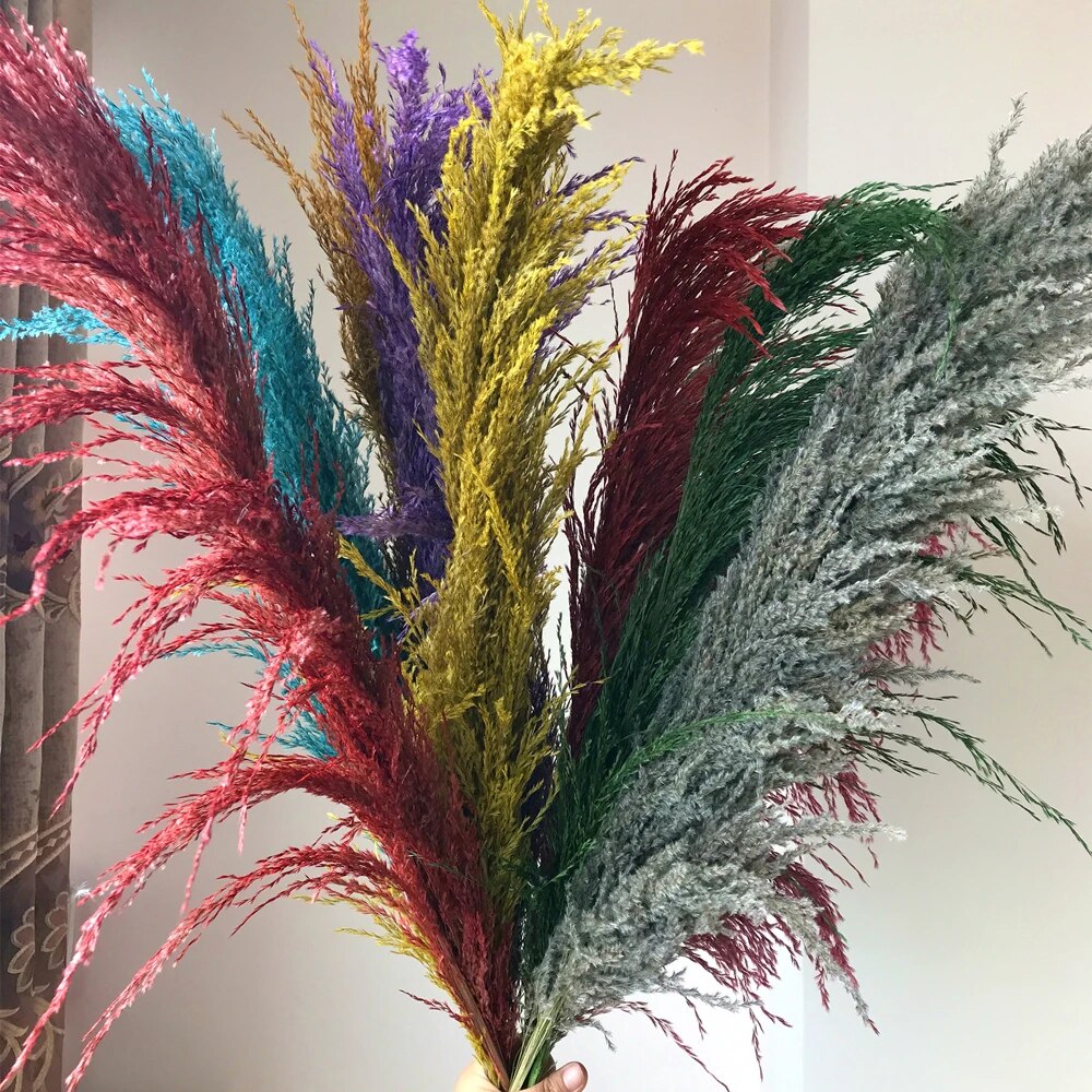 FeatherFawn - Fiori di pampa essiccati - Multicolore - Decor home home decor - Concept Palermo