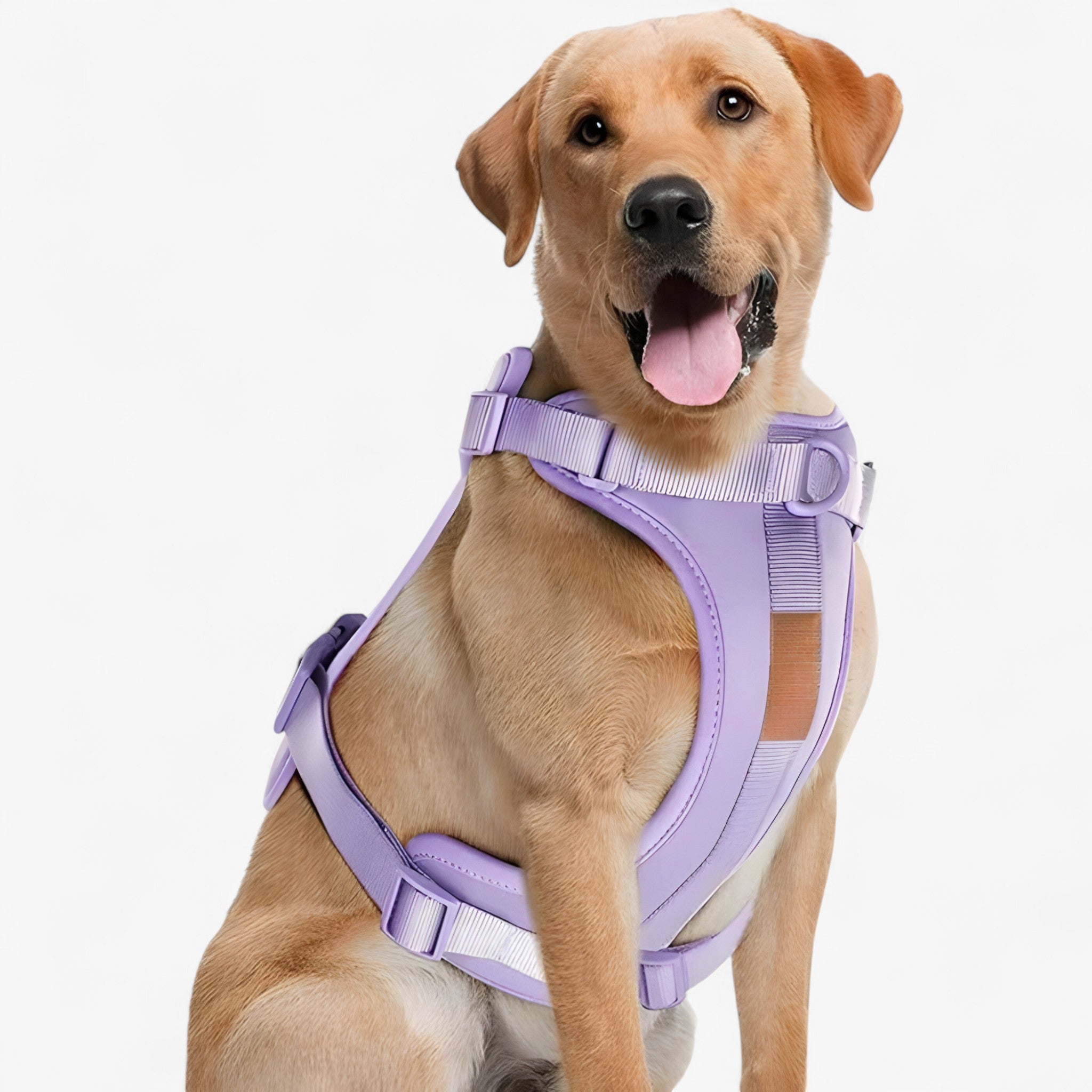 ComfyPaws | Set imbracatura da passeggio (include cintura e porta sacchetti per escrementi) - Violetto - dog harness dog leashes - Concept Palermo