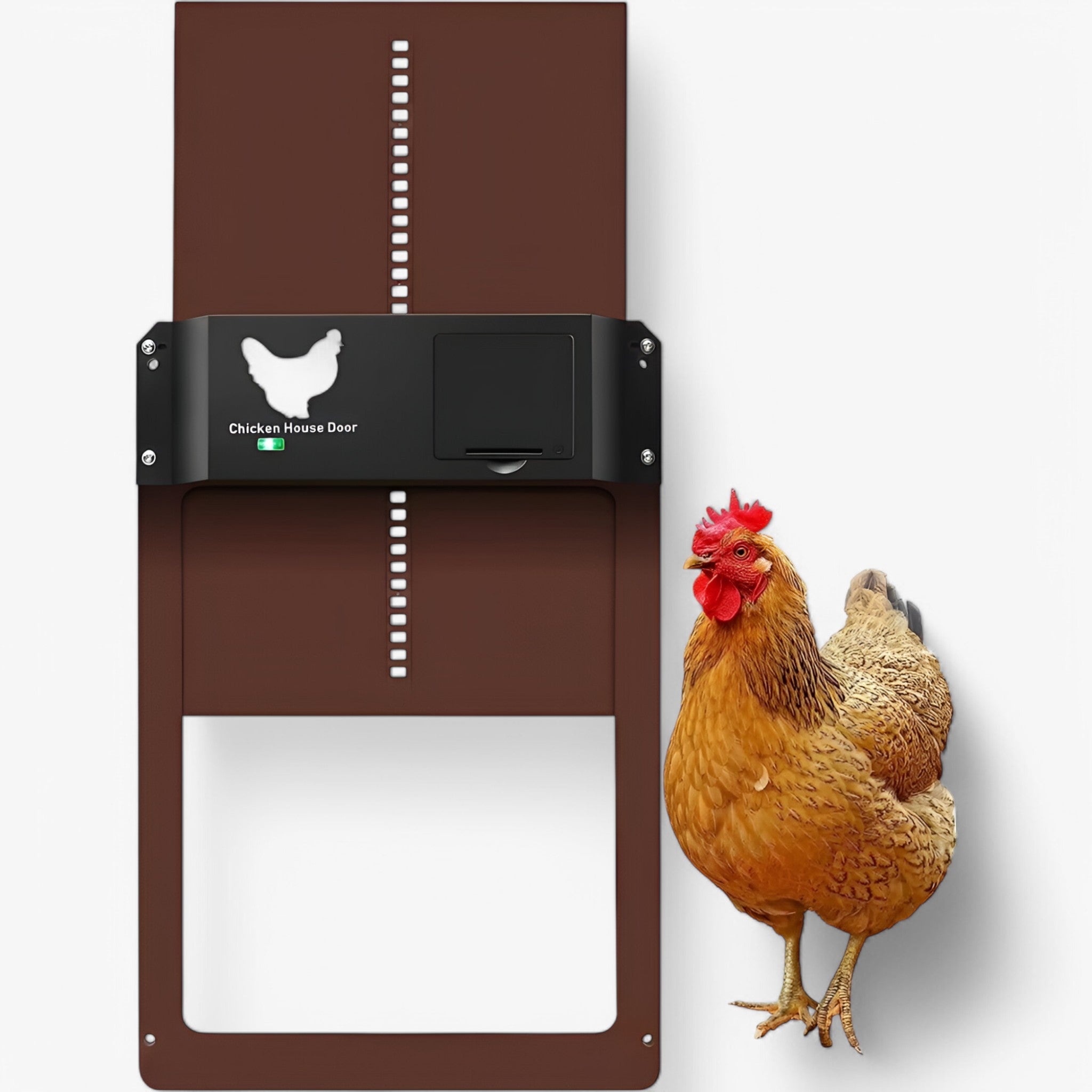 Pluimvee PRO+ | Chiusura automatica per pollame - - new_for_google - Concept Palermo