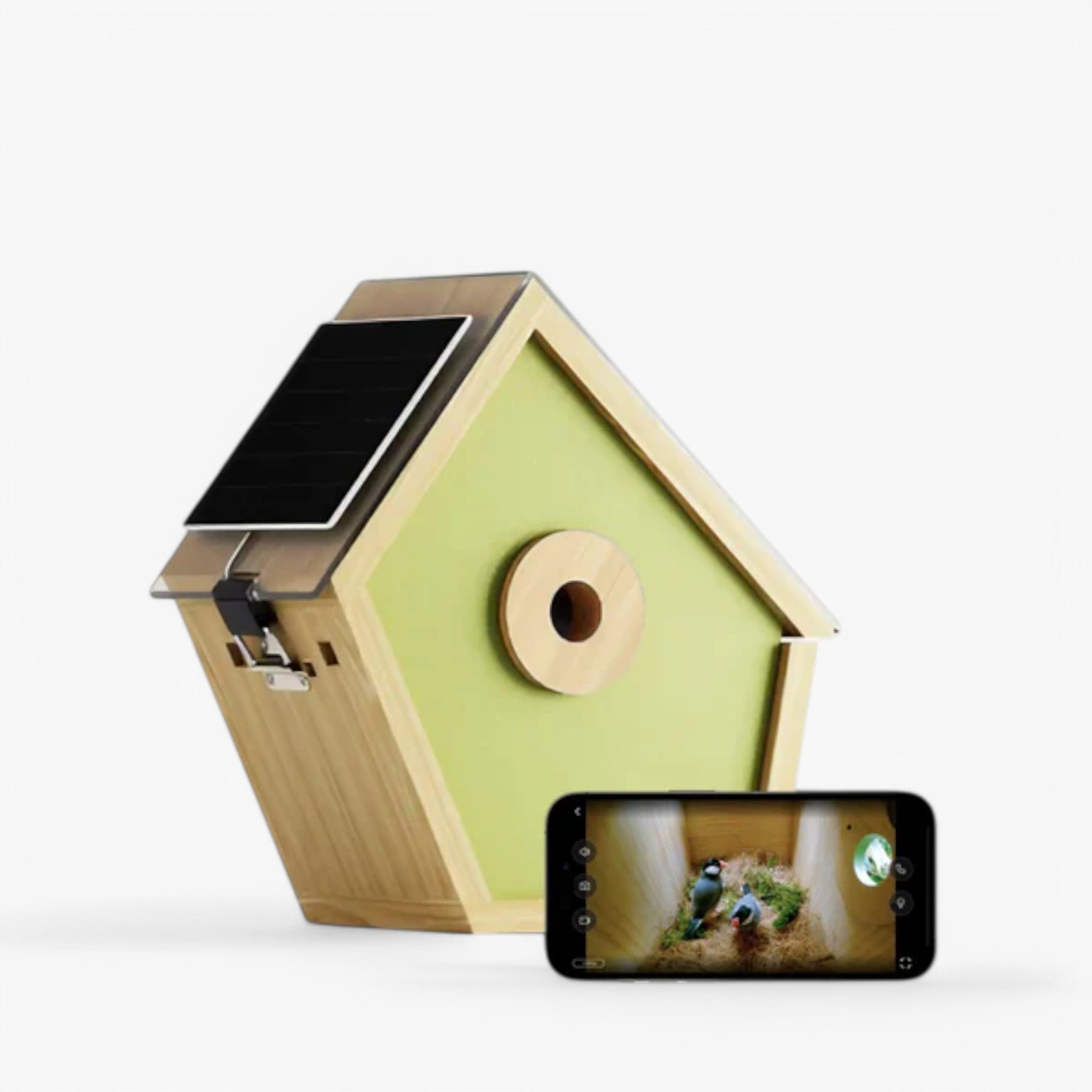 Reli Birddy | Casetta per Uccelli Slim con Tecnologia Avanzata - - bird house birdproduct - Concept Palermo