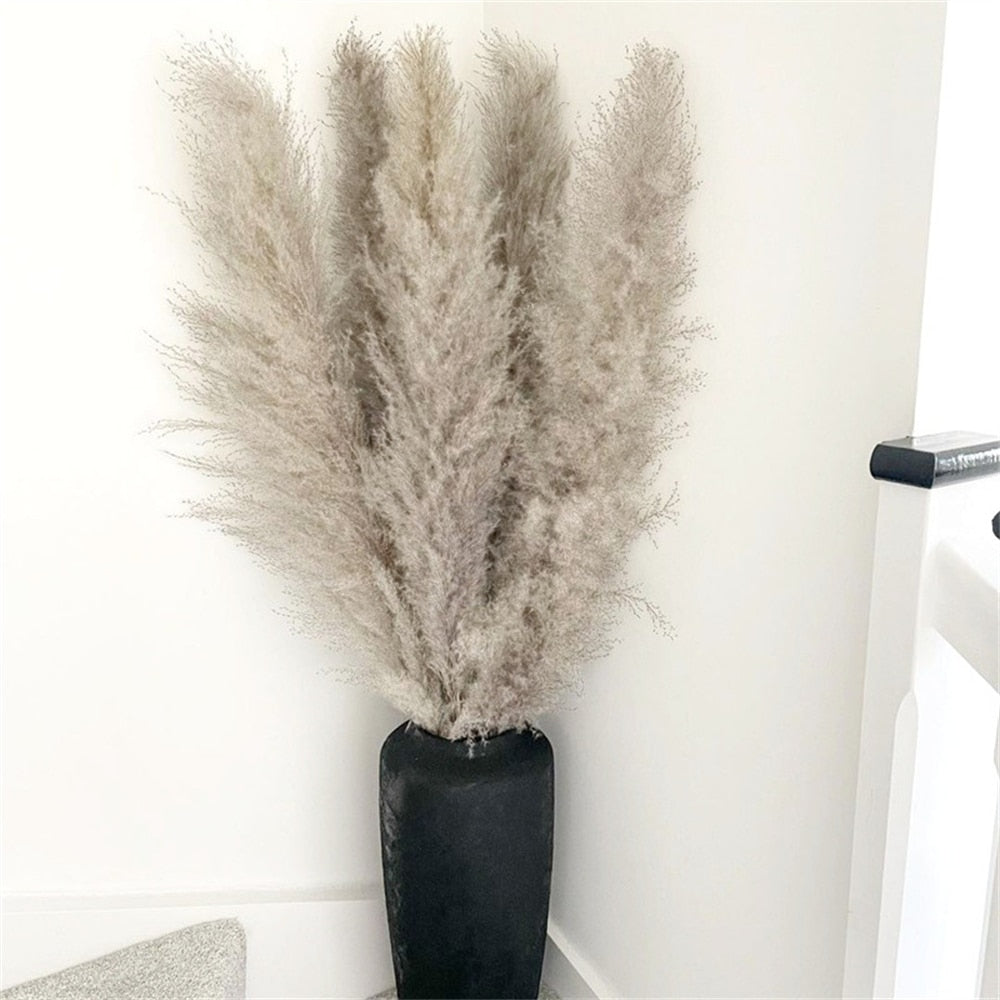 FeatherFawn - Fiori di pampa essiccati - Grigio naturale - Decor home home decor - Concept Palermo