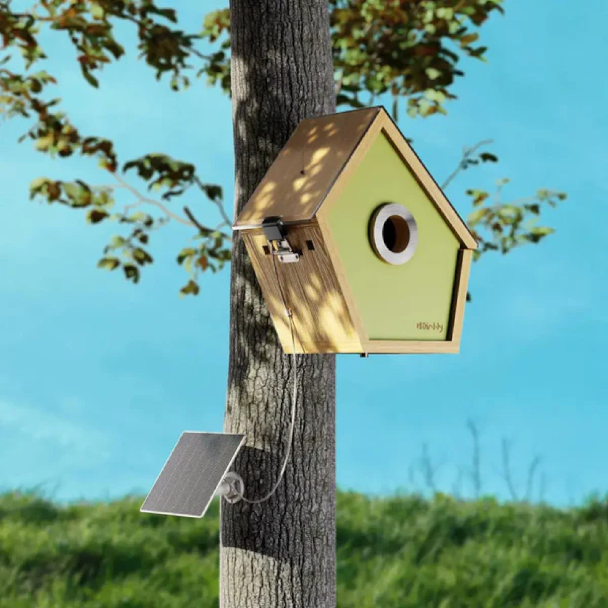 Reli Birddy | Casetta per Uccelli Slim con Tecnologia Avanzata - - bird house birdproduct - Concept Palermo