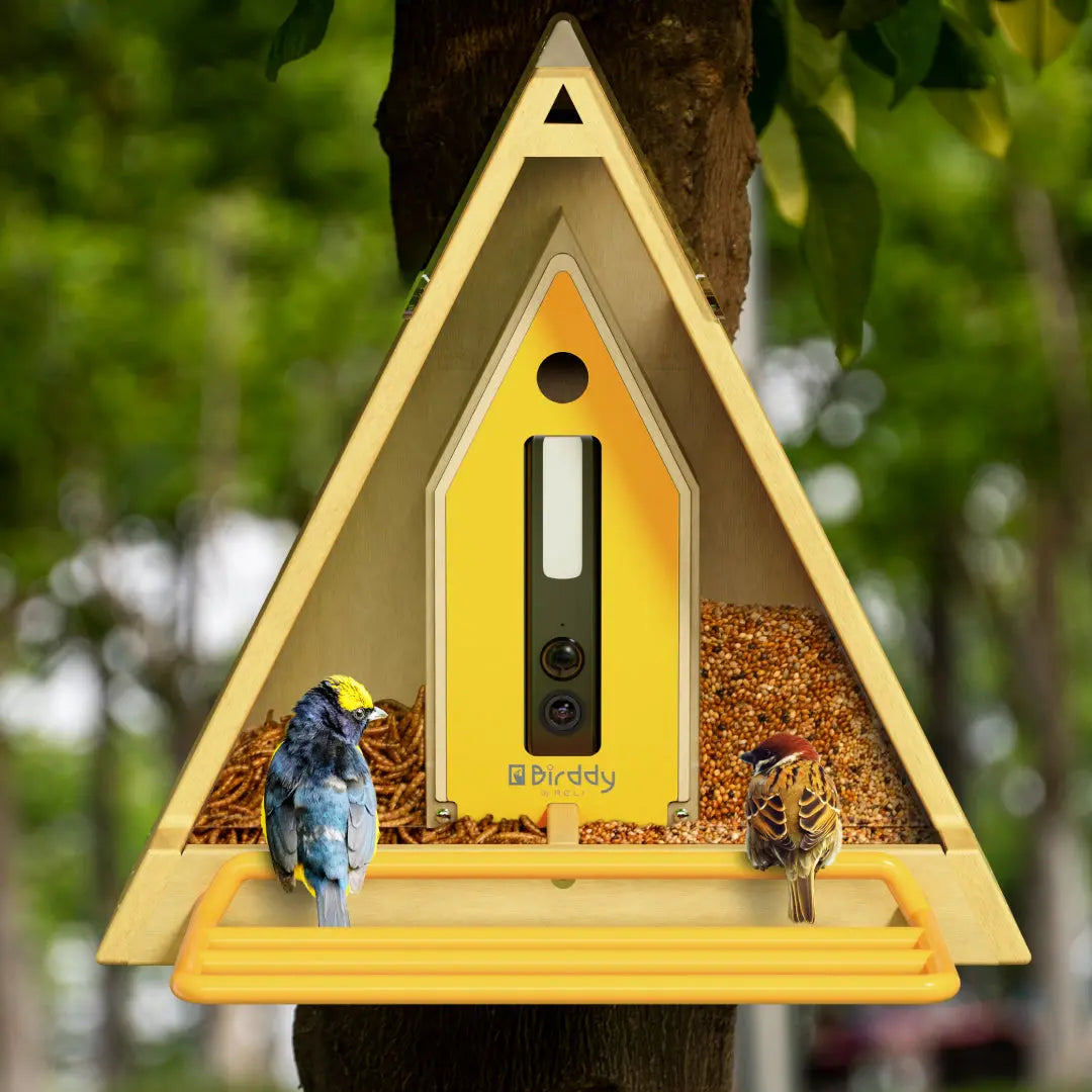 Reli Birddy Slim Feeder GreenTough™ | Mangiatore per Uccelli Slim con Design Sostenibile - - bird feeder birdproduct petproduct - Concept Palermo