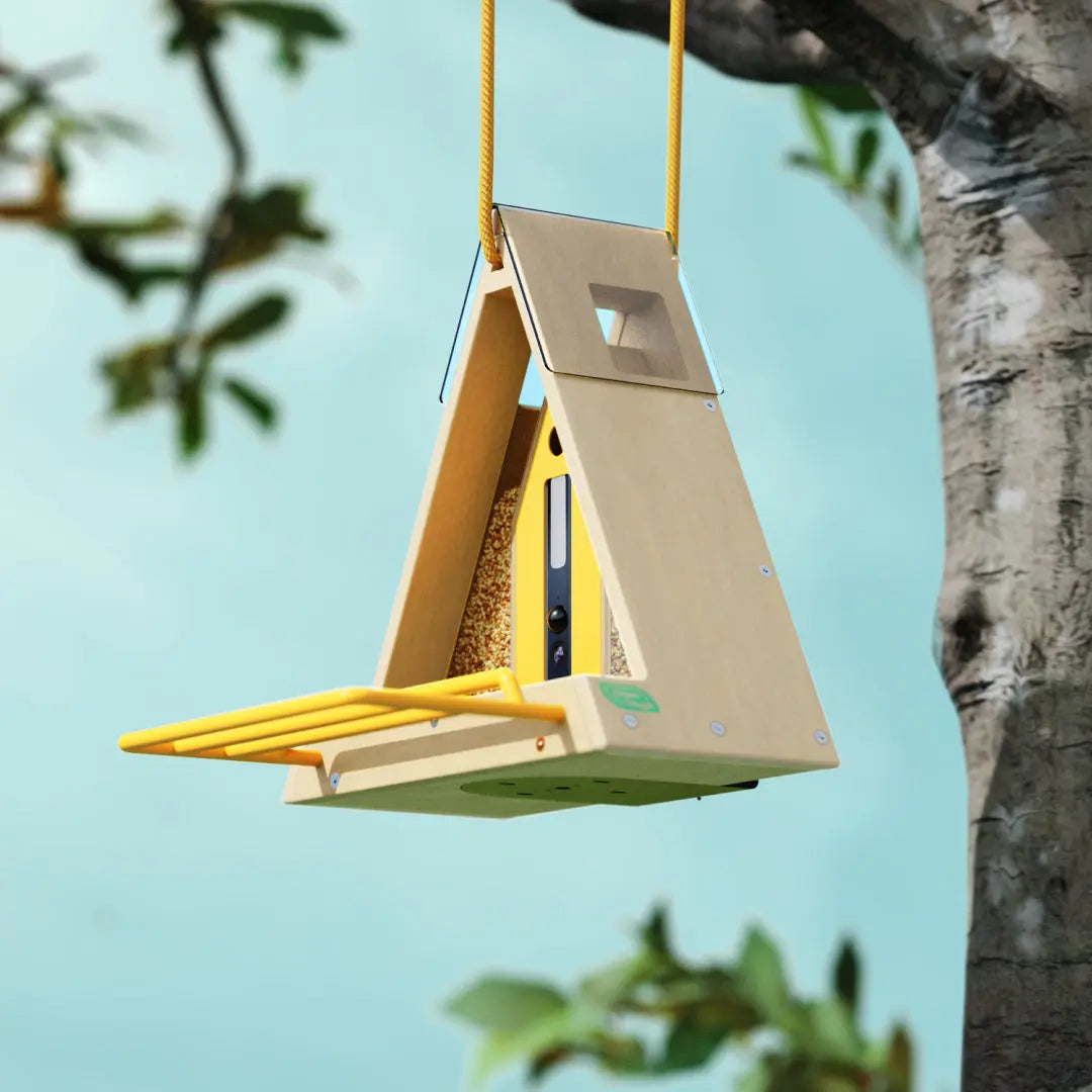 Reli Birddy Slim Feeder GreenTough™ | Mangiatore per Uccelli Slim con Design Sostenibile - - bird feeder birdproduct petproduct - Concept Palermo