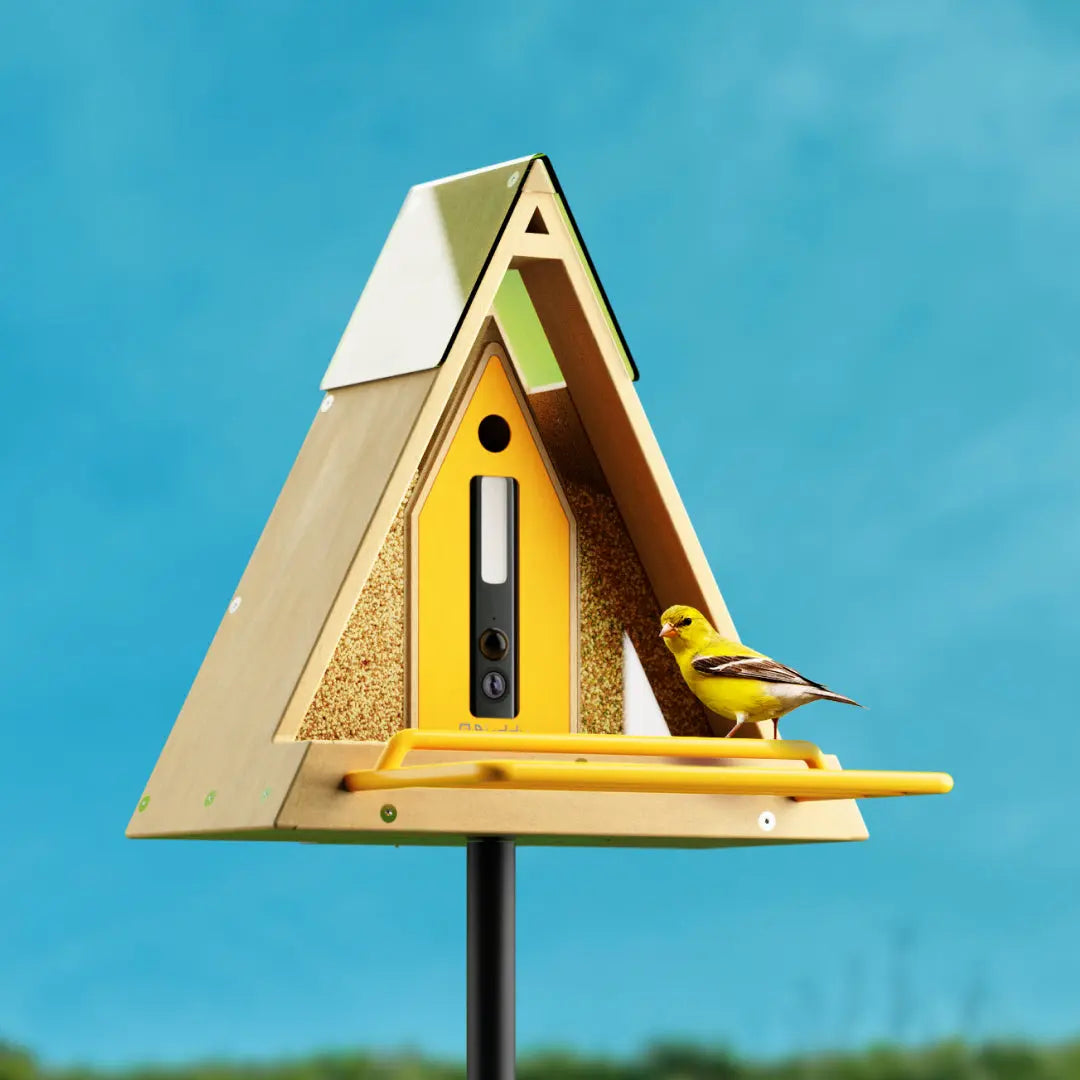 Reli Birddy Slim Feeder GreenTough™ | Mangiatore per Uccelli Slim con Design Sostenibile - - bird feeder birdproduct petproduct - Concept Palermo