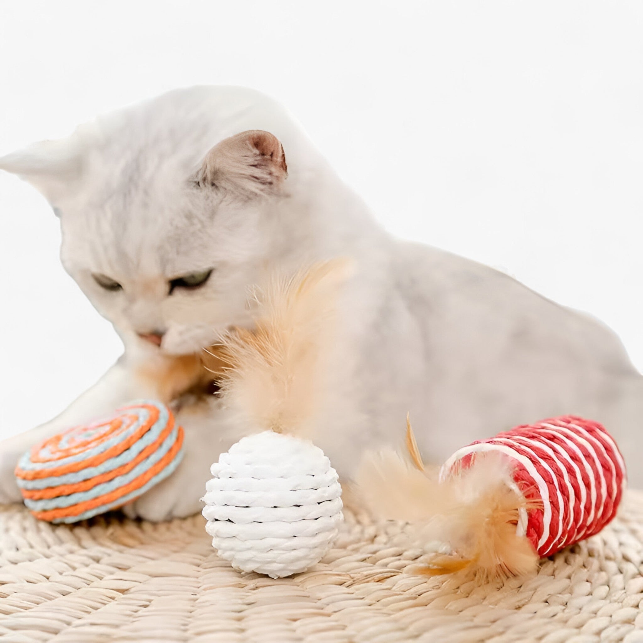 Milo | Set di Bacchette Interattive in Legno per Gatti con Molla - - - Concept Palermo