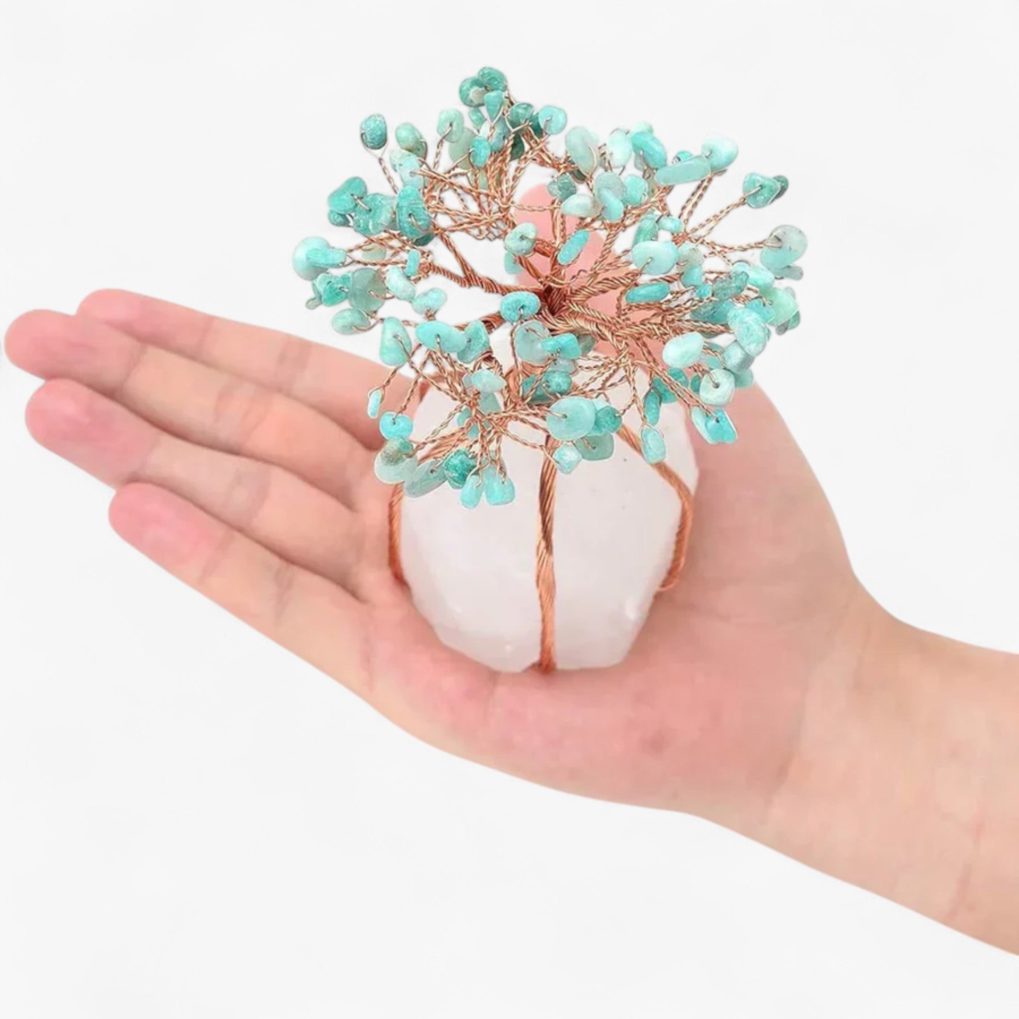 Decorazioni Bonsai Feng Shui - - bonsai decoration Decoration feng shui - Concept Palermo