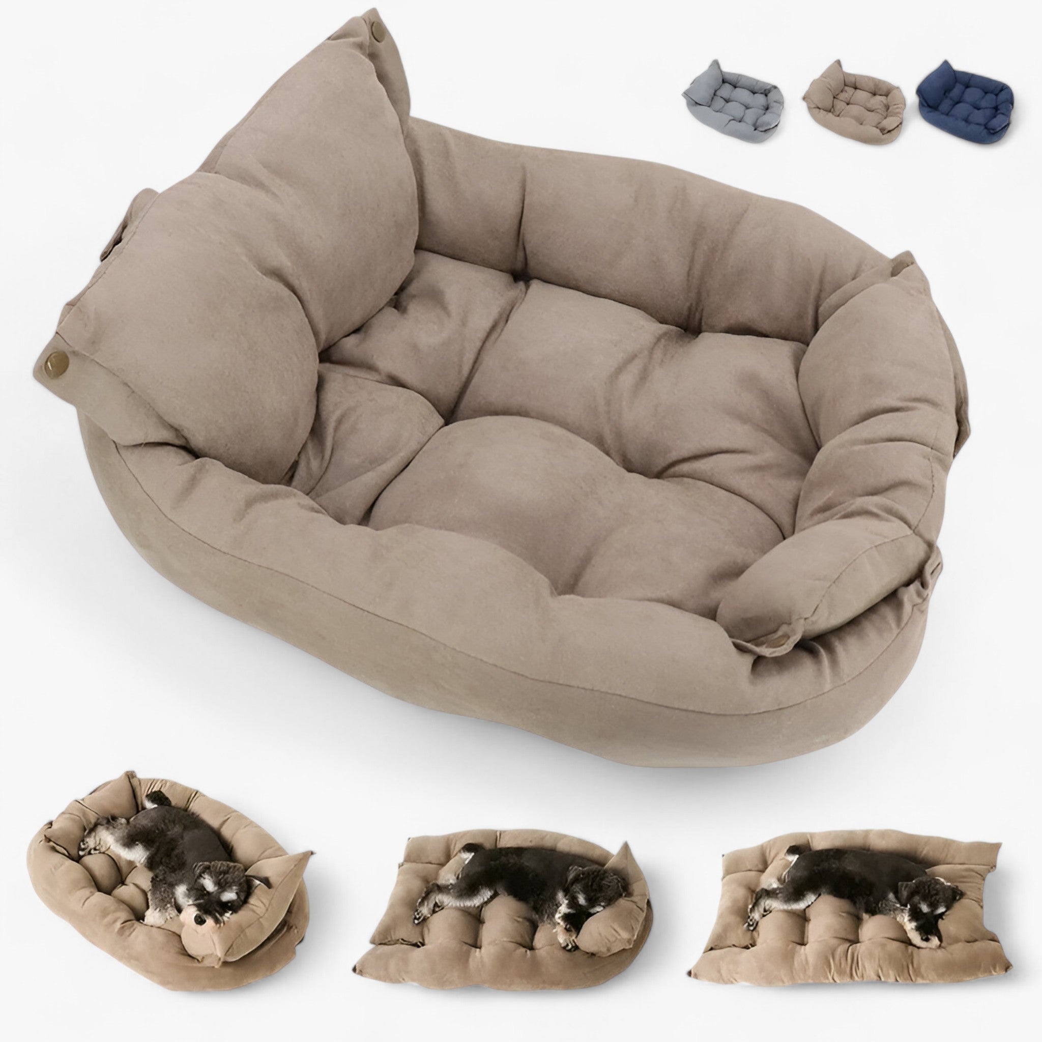 Buddy | Letto per Animali Multifunzionale 3-in-1 per Cani e Gatti - - - Concept Palermo