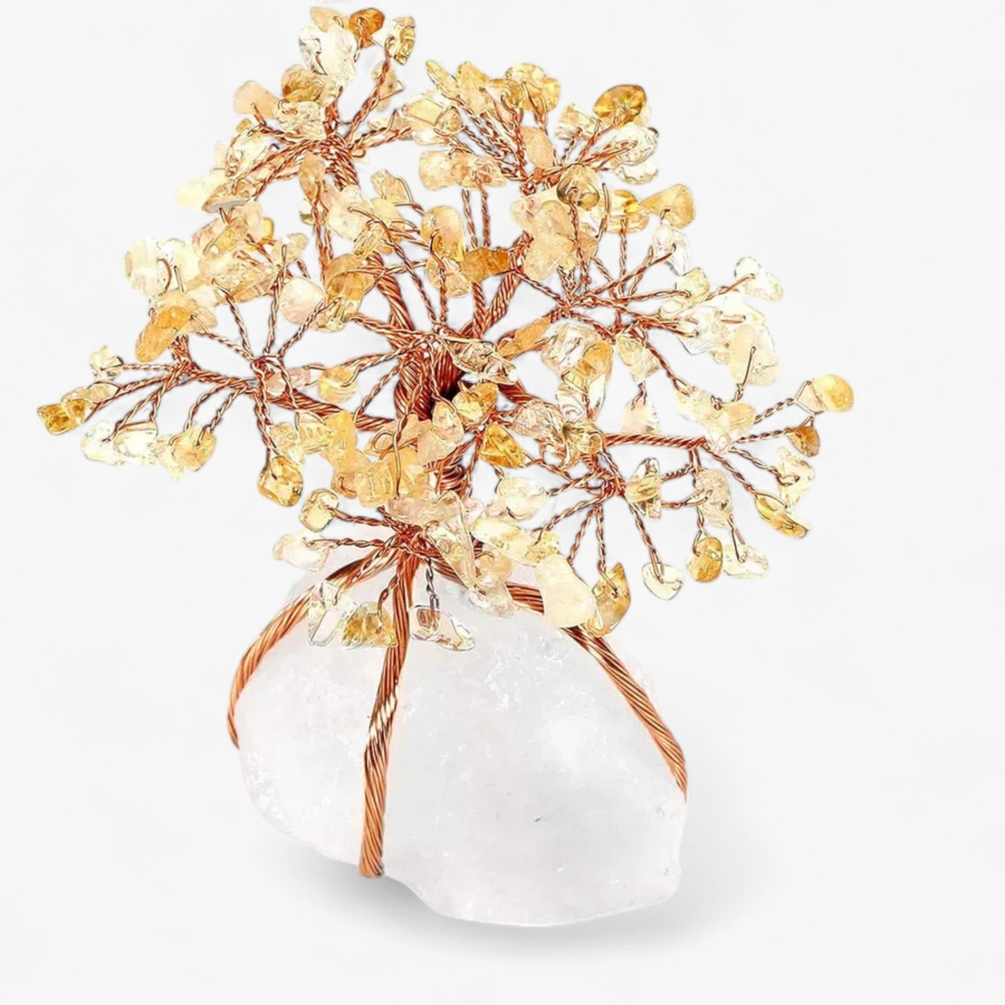 Decorazioni Bonsai Feng Shui - Citrino - bonsai decoration Decoration feng shui - Concept Palermo