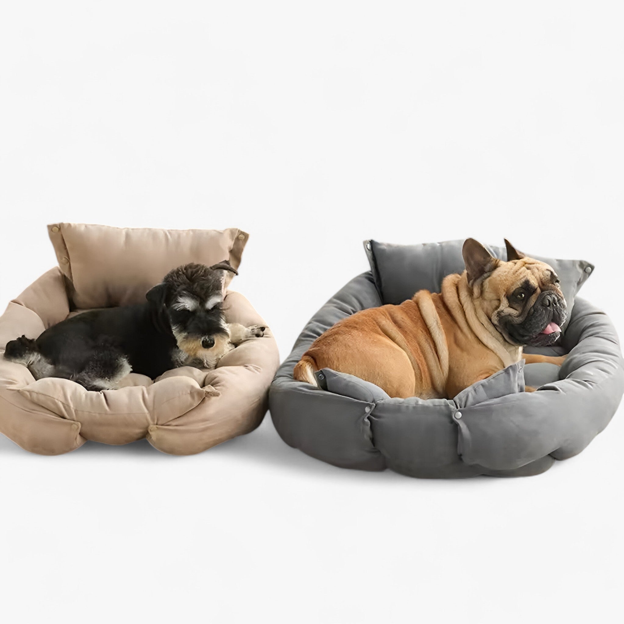 Buddy | Letto per Animali Multifunzionale 3-in-1 per Cani e Gatti - - - Concept Palermo