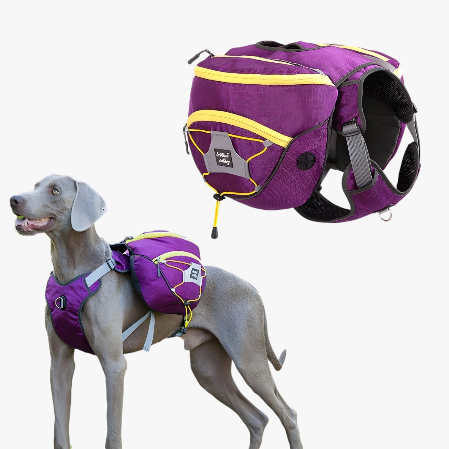 Zaino riflettente per cani Westie con tasche rimovibili - - dog DOG SUPPLIES pet pet accessories PET SUPPLIES - Concept Palermo