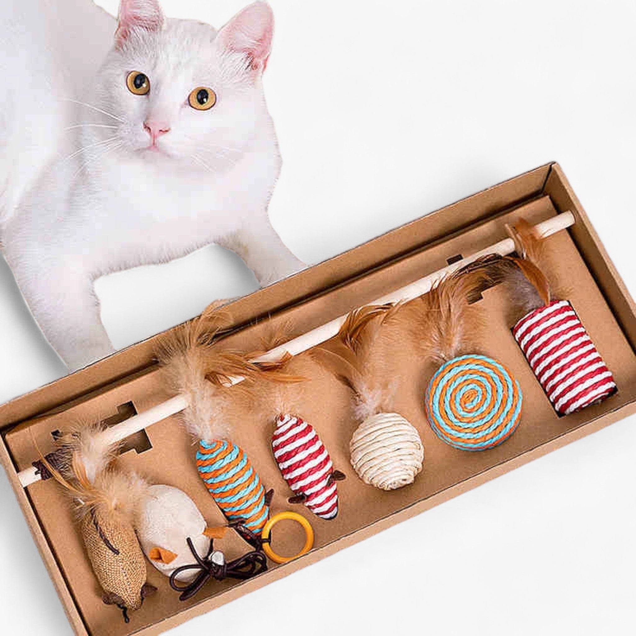 Milo | Set di Bacchette Interattive in Legno per Gatti con Molla - - - Concept Palermo
