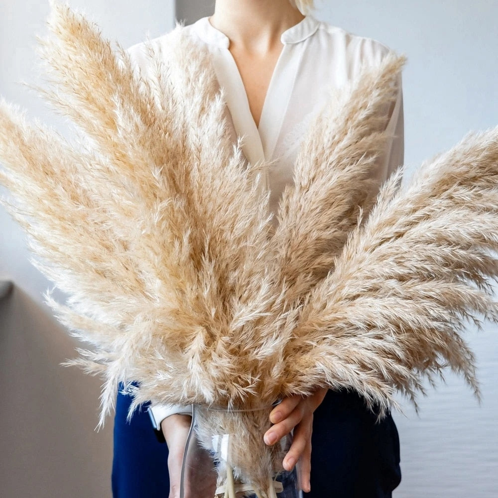 FeatherFawn - Fiori di pampa essiccati - - Decor home home decor - Concept Palermo