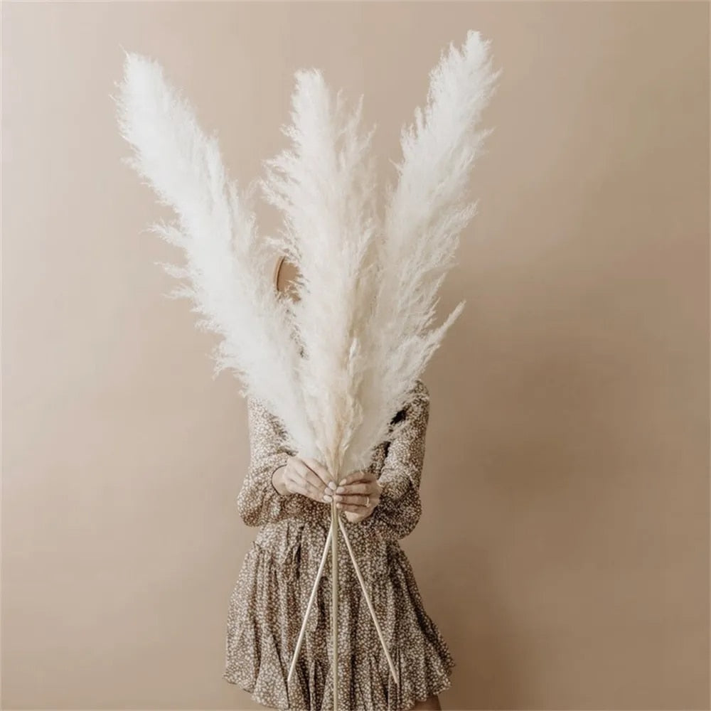 FeatherFawn - Fiori di pampa essiccati - - Decor home home decor - Concept Palermo