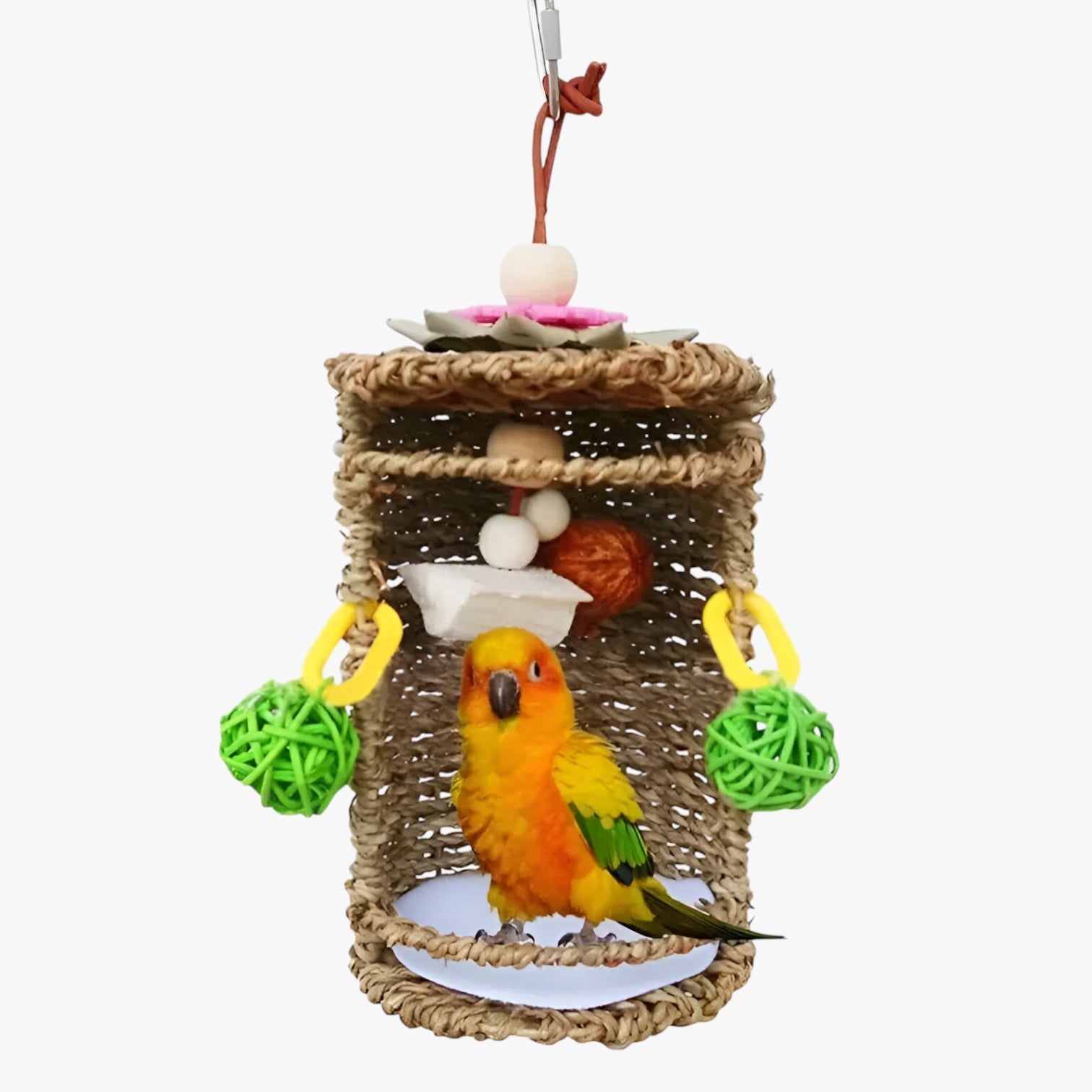 Carlos | Accogliente rifugio per uccelli – Spazio nido e gioco confortevole - A - bird bird house birdproduct - Concept Palermo