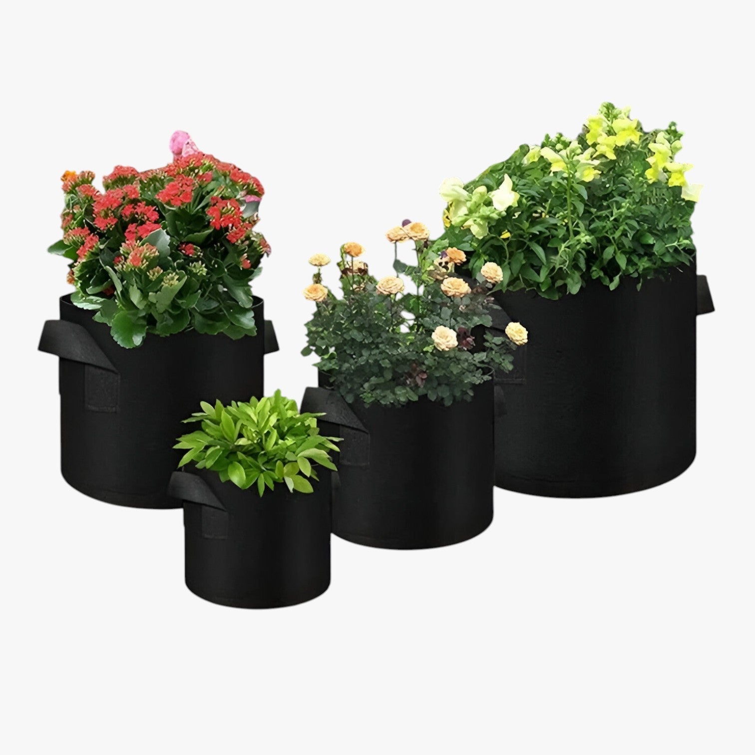 Genalyn | Sacco di coltivazione salvaspazio – Piante sane, facili da coltivare - - Garden Garden supplies Home & Garden - Concept Palermo