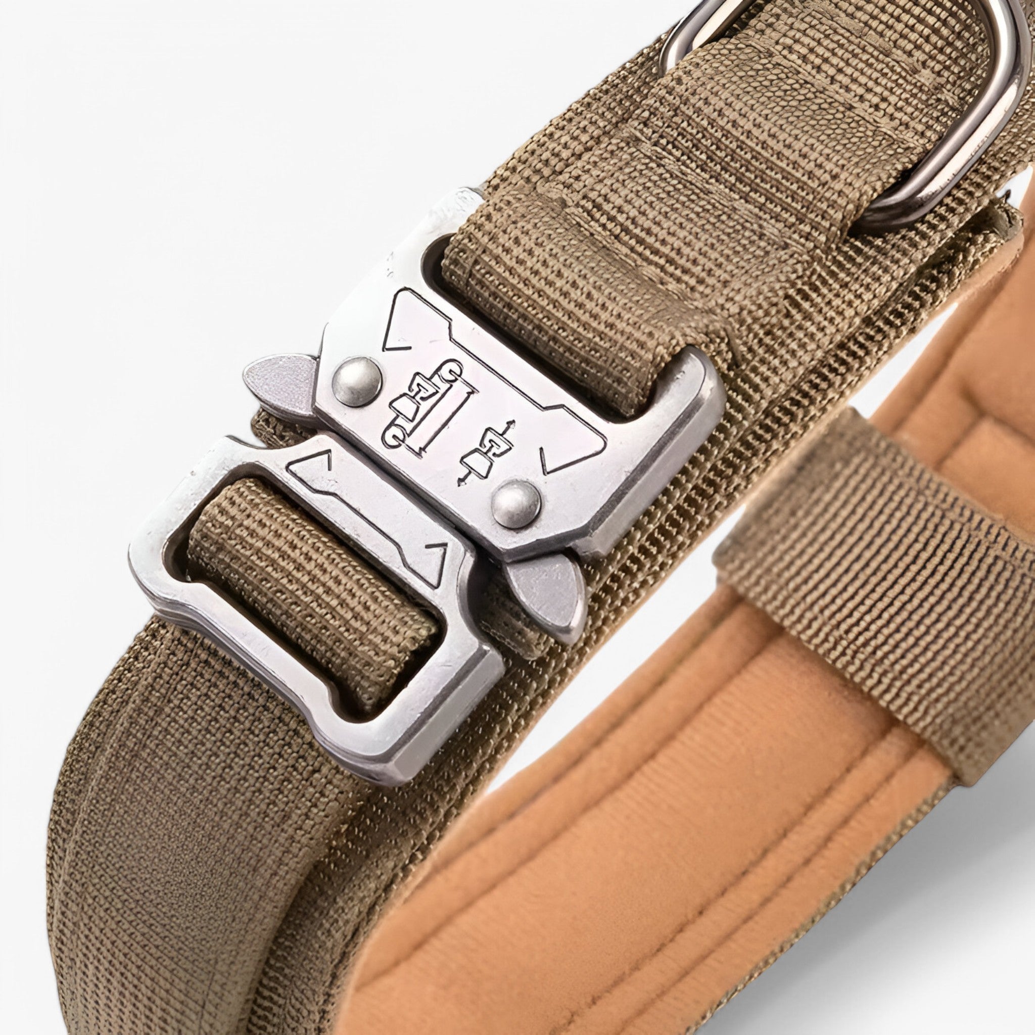 Maximus | Set di collari tattici durevoli per cani - - dog collar - Concept Palermo