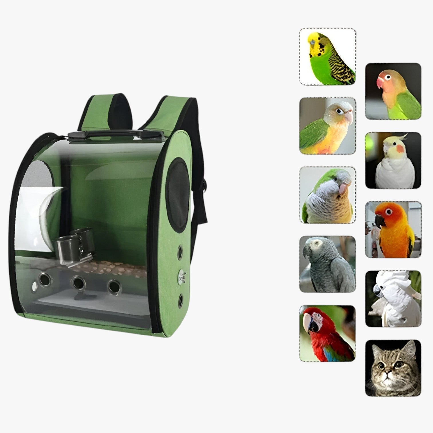 Agastya | Gabbia per uccelli spaziosa – Viaggio confortevole per il tuo uccello - - pet pet accessories PET SUPPLIES - Concept Palermo