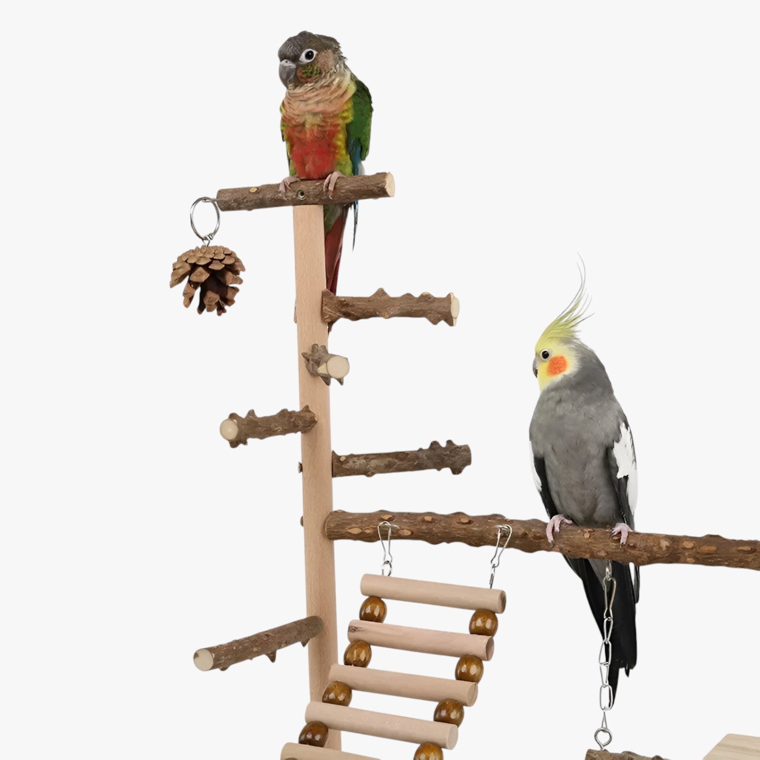 Jodi | Klimnet e Piattaforma di Gioco per Uccelli Attivi - - bird bird toys birdproduct pet PET SUPPLIES - Concept Palermo