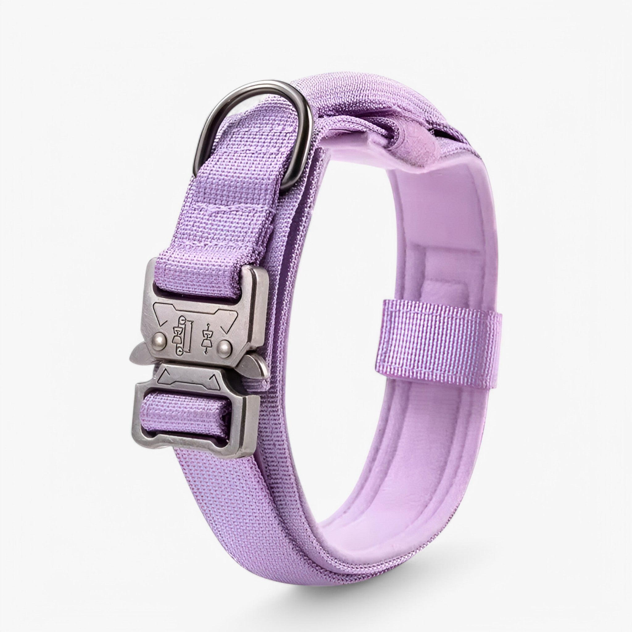 Maximus | Set di collari tattici durevoli per cani - Viola - dog collar - Concept Palermo