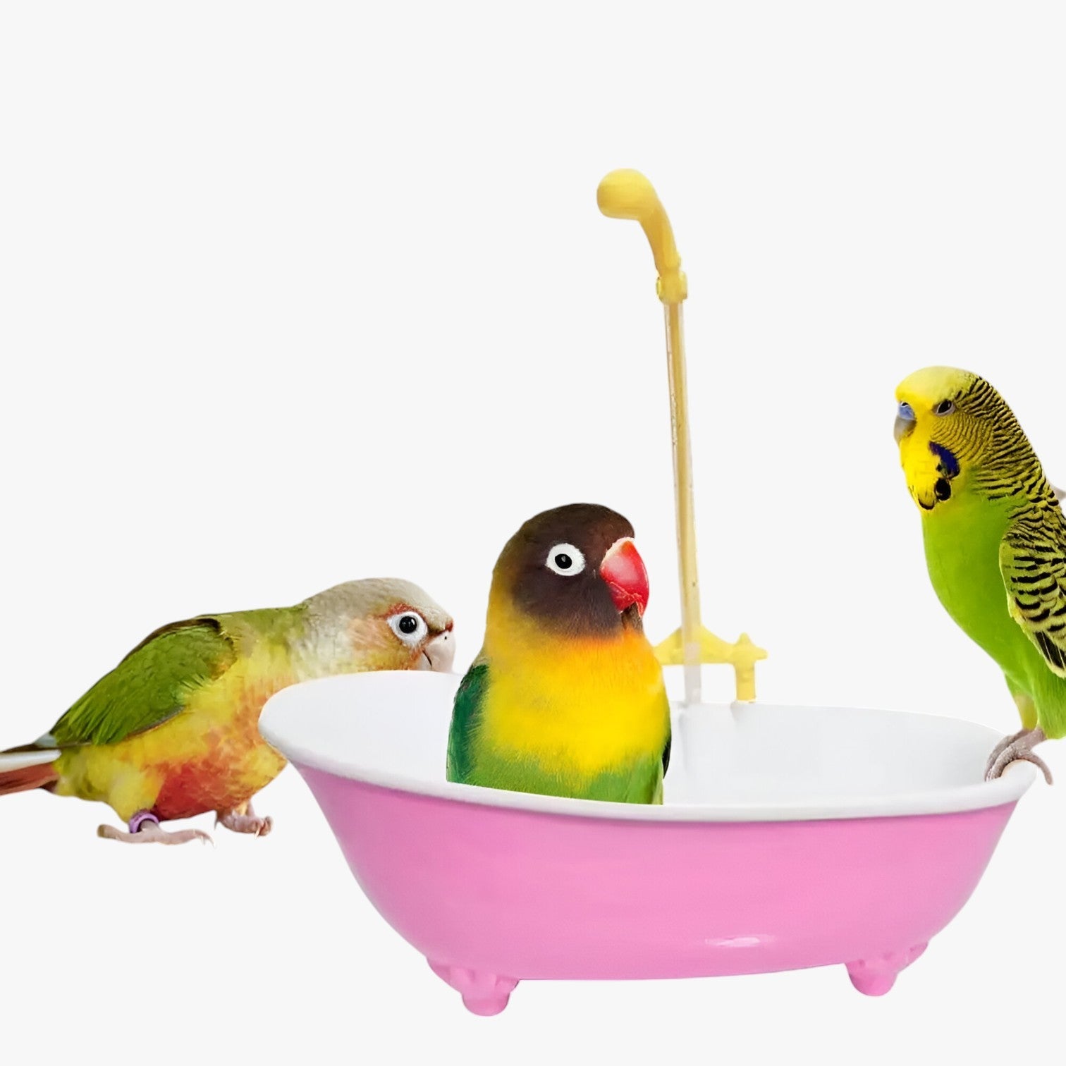 Deana | Vasca per uccelli slim e automatica – Fresca, giocosa e senza preoccupazioni per la pulizia - - bird bird bath birdproduct pet PET SUPPLIES - Concept Palermo