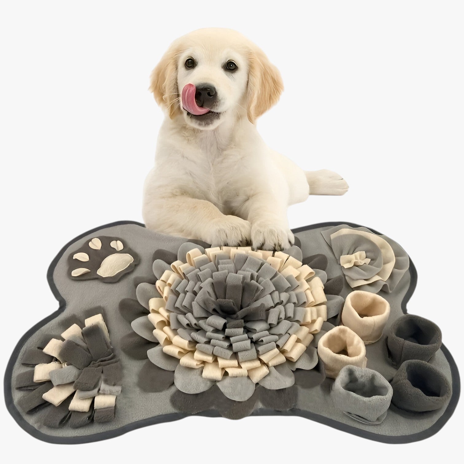 Sparky | Tappetino da Annusare Interattivo per Cani - - PET SUPPLIES petproduct Pets - Concept Palermo