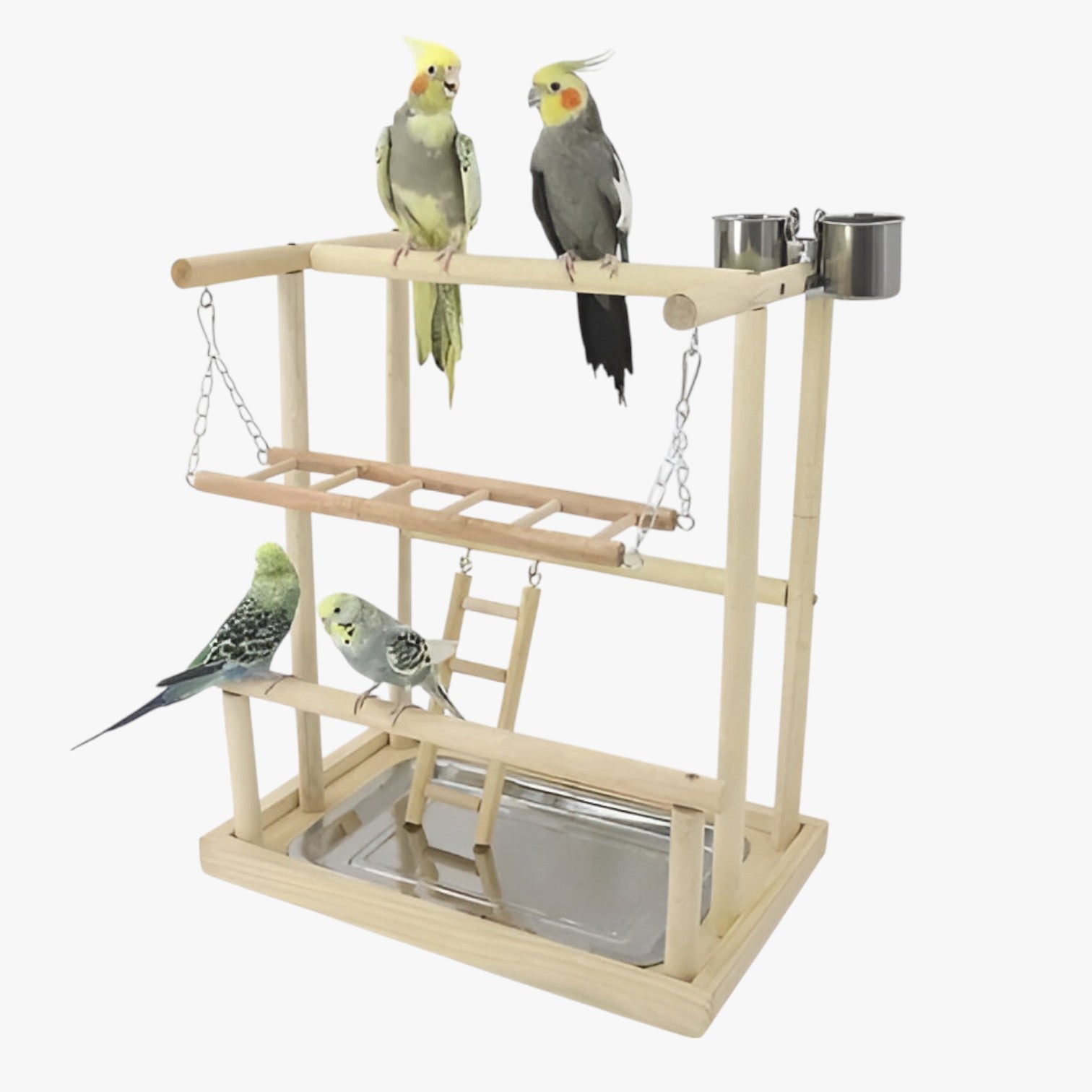Felicia | Porta pappagalli in legno – Allenare, giocare e divertirsi - Argento - bird bird toys birdproduct pet PET SUPPLIES - Concept Palermo