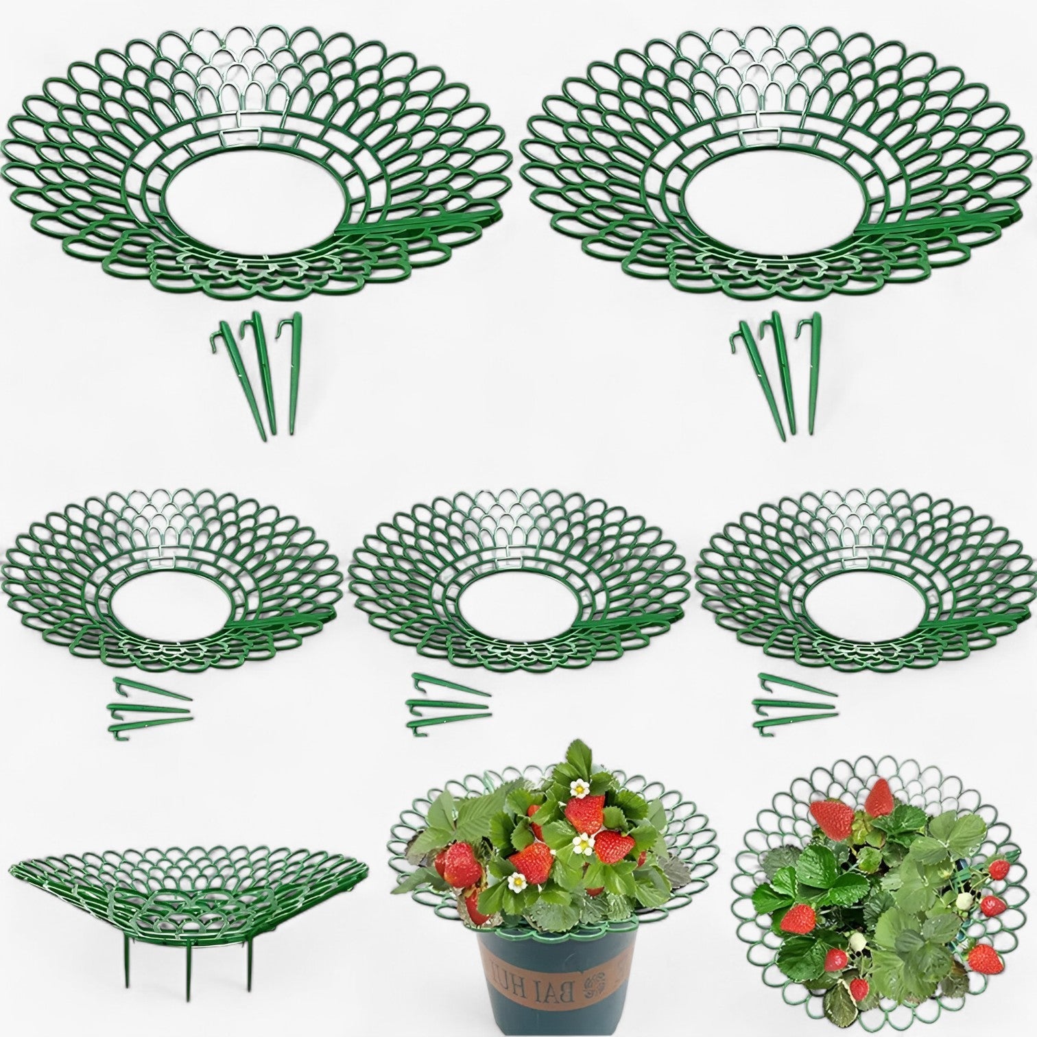 Stella | Supporti per piante di fragola per una crescita sana - - garden Garden accessories Garden supplies Home & Garden - Concept Palermo