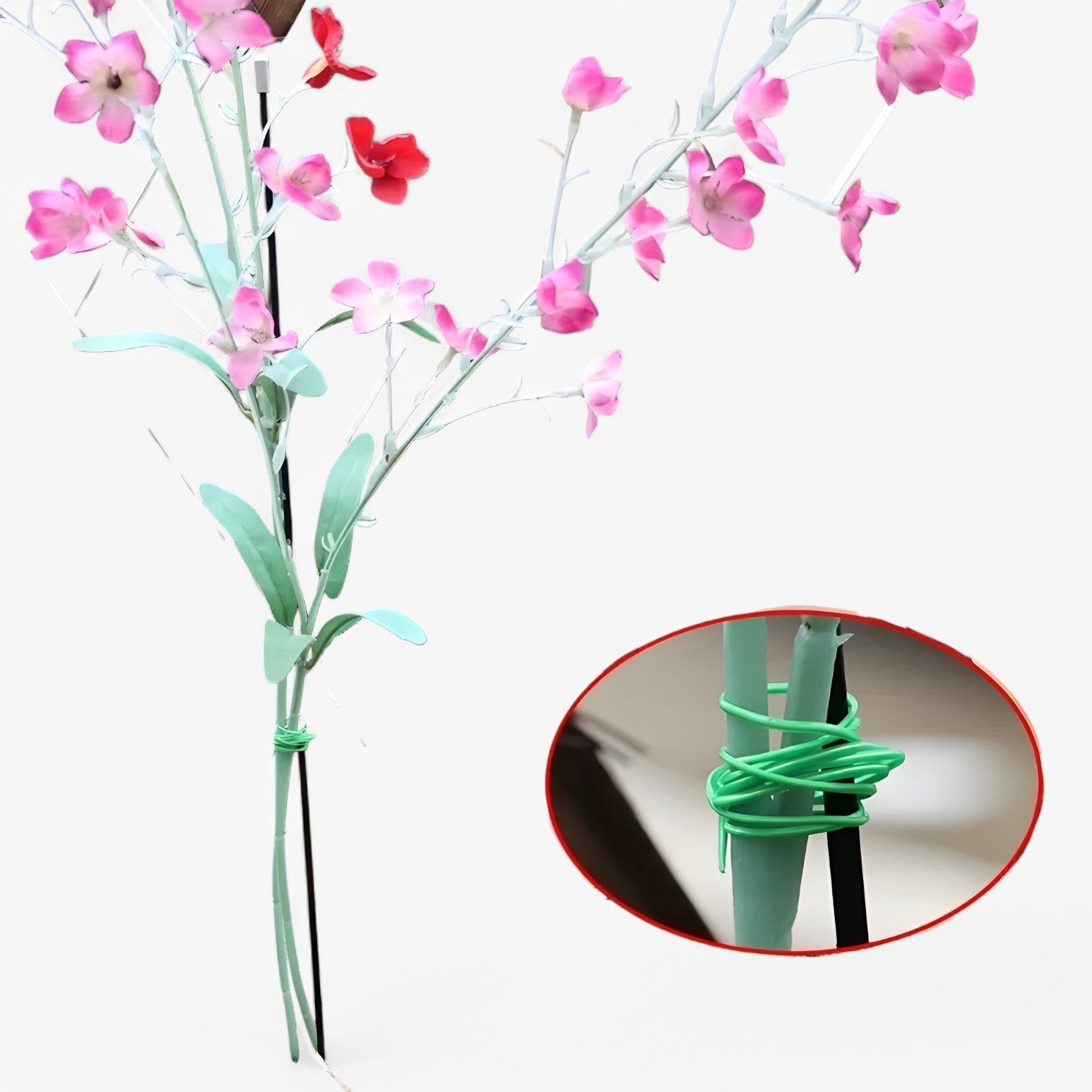 Dariel | Pianta da Giardino con Filo e Strumento da Taglio per Sostegno - - Garden Garden accessories Home & Garden - Concept Palermo