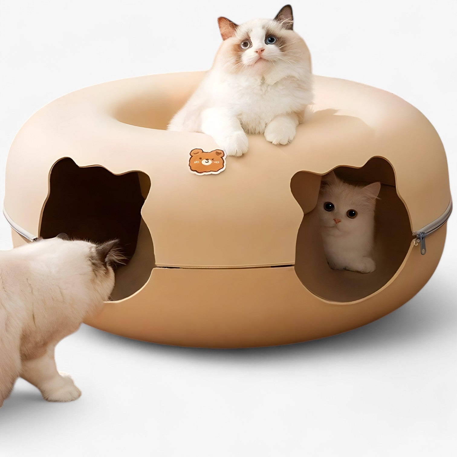 Maggie | Letto per gatti interattivo schiccoso: giocare, rilassarsi e scoprire - - cat pet PET SUPPLIES - Concept Palermo