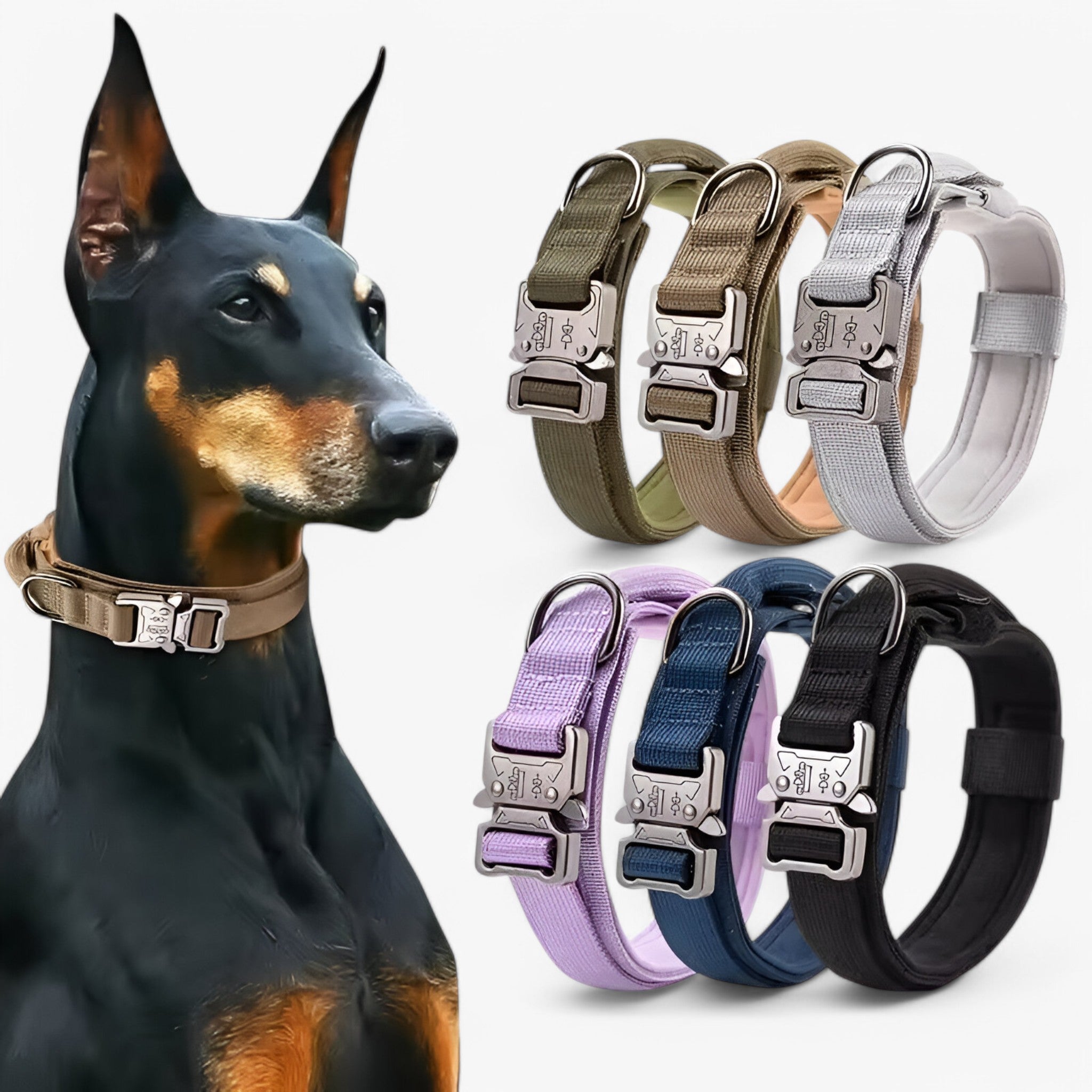 Maximus | Set di collari tattici durevoli per cani - - dog collar - Concept Palermo