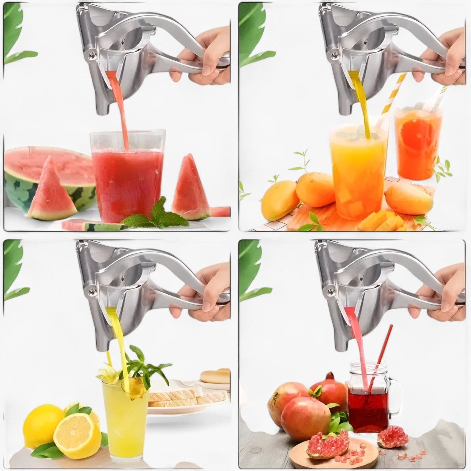 Max | Spremiagrumi Manuale: Sempre succo fresco senza sforzo - - Kitchen kitchen accessory kitchen tools - Concept Palermo