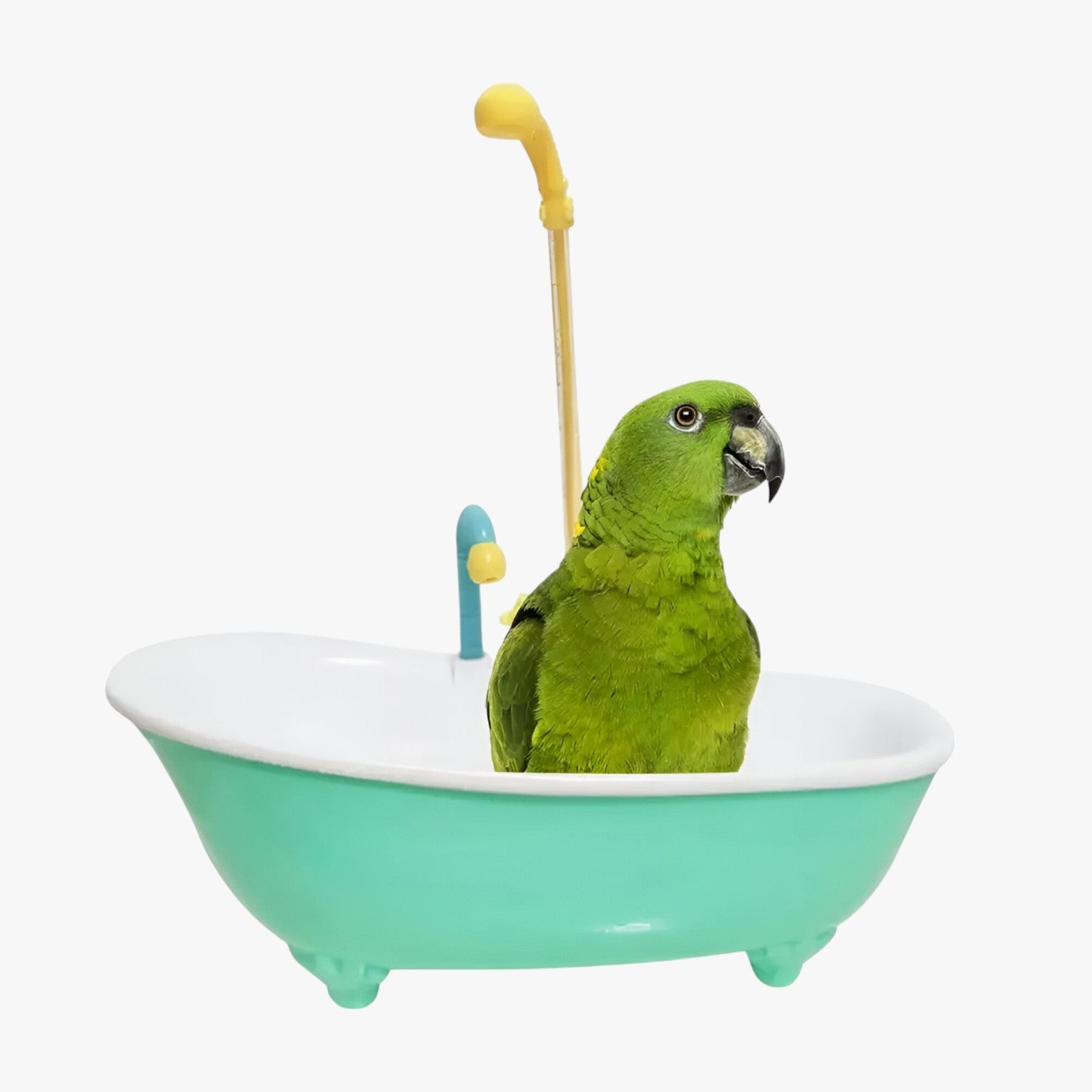 Deana | Vasca per uccelli slim e automatica – Fresca, giocosa e senza preoccupazioni per la pulizia - - bird bird bath birdproduct pet PET SUPPLIES - Concept Palermo