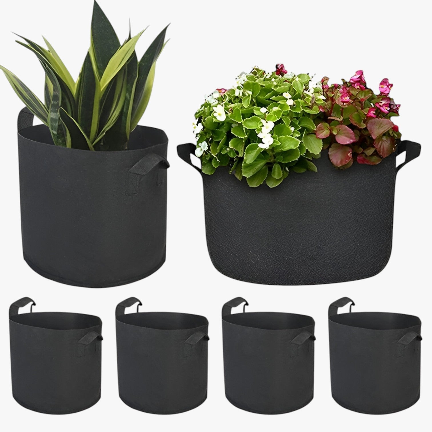 Genalyn | Sacco di coltivazione salvaspazio – Piante sane, facili da coltivare - - Garden Garden supplies Home & Garden - Concept Palermo