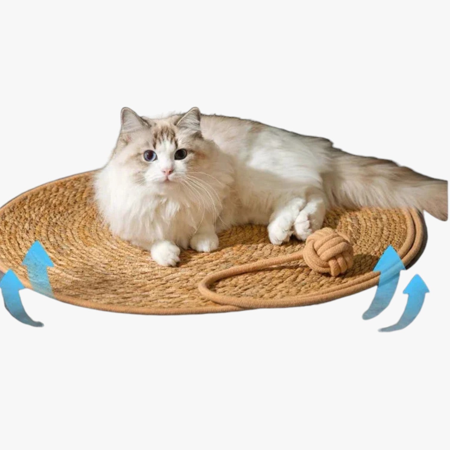 Desiree | Tappetino tiragraffi in paglia per gatti, pratico e facile da usare - - pet PET SUPPLIES petproduct - Concept Palermo