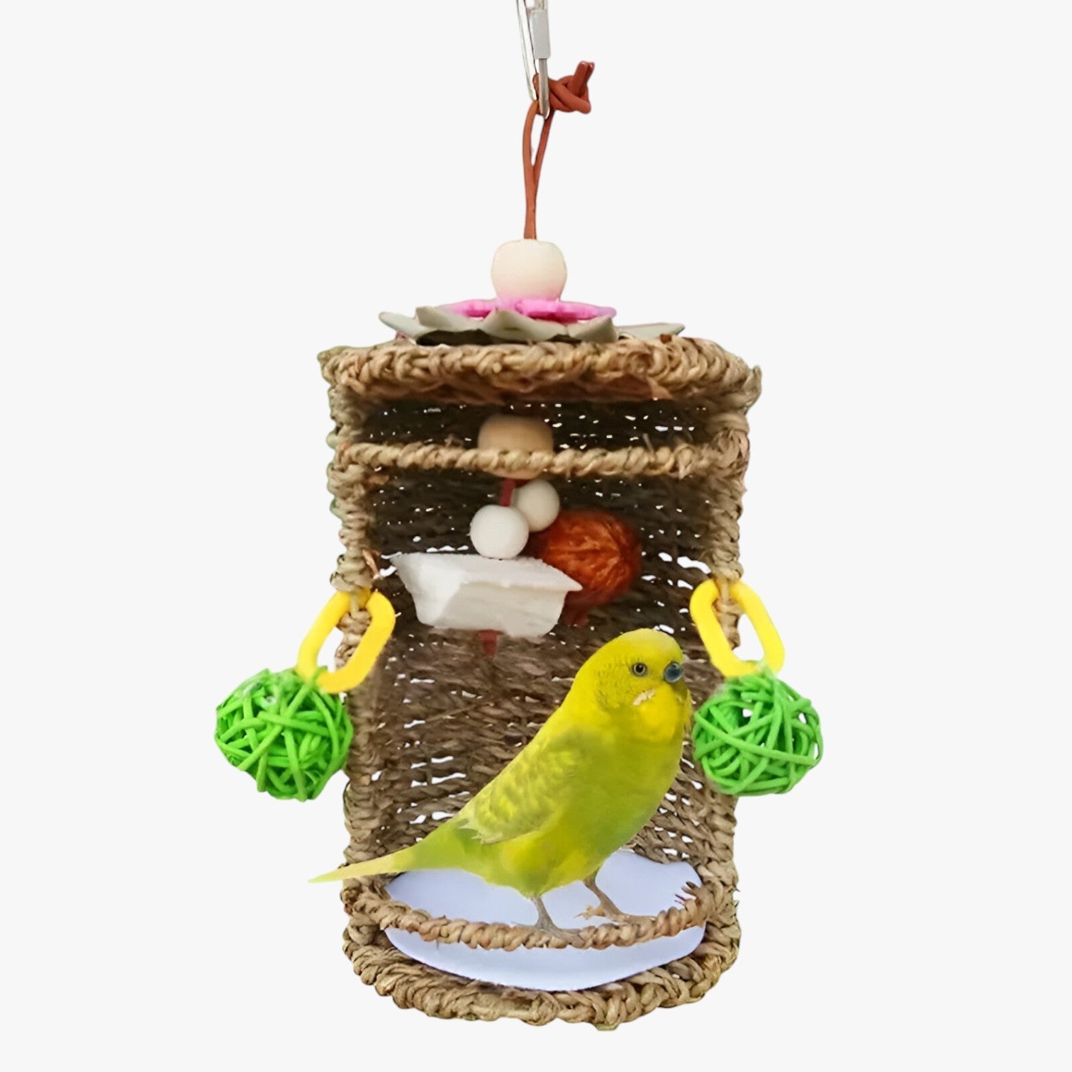 Carlos | Accogliente rifugio per uccelli – Spazio nido e gioco confortevole - - bird bird house birdproduct - Concept Palermo