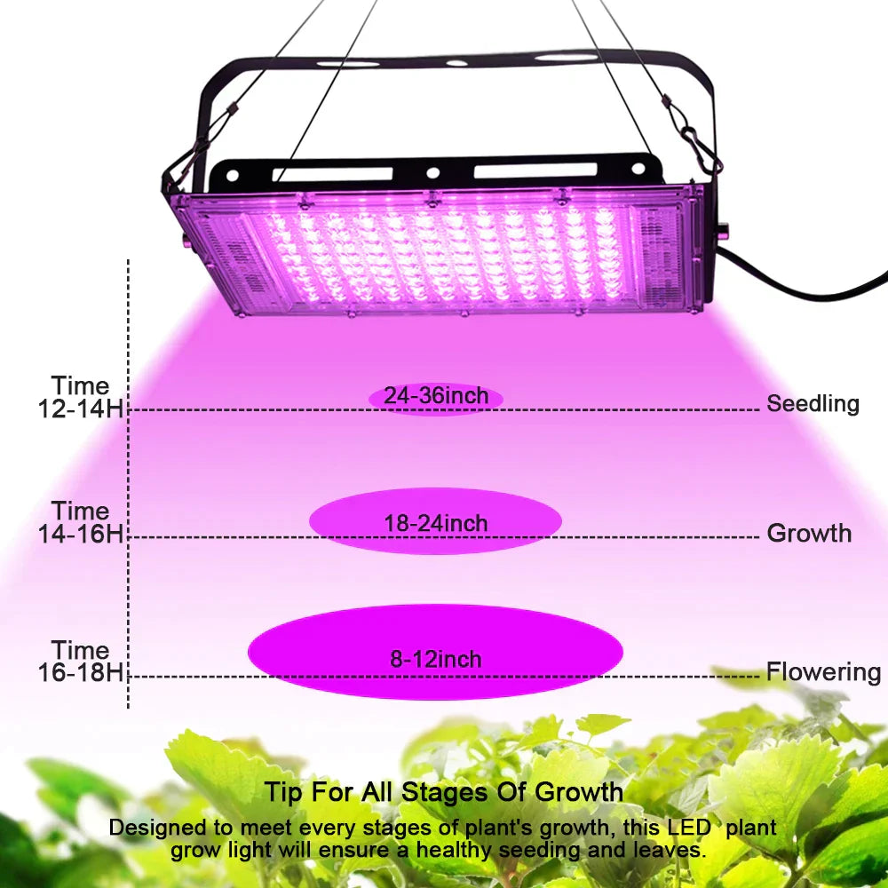 HydroGlow - Lampada da coltivazione LED a spettro completo con spina EU - - Decoration lighting grow lamp grow light led lamp lightning plant light - Concept Palermo