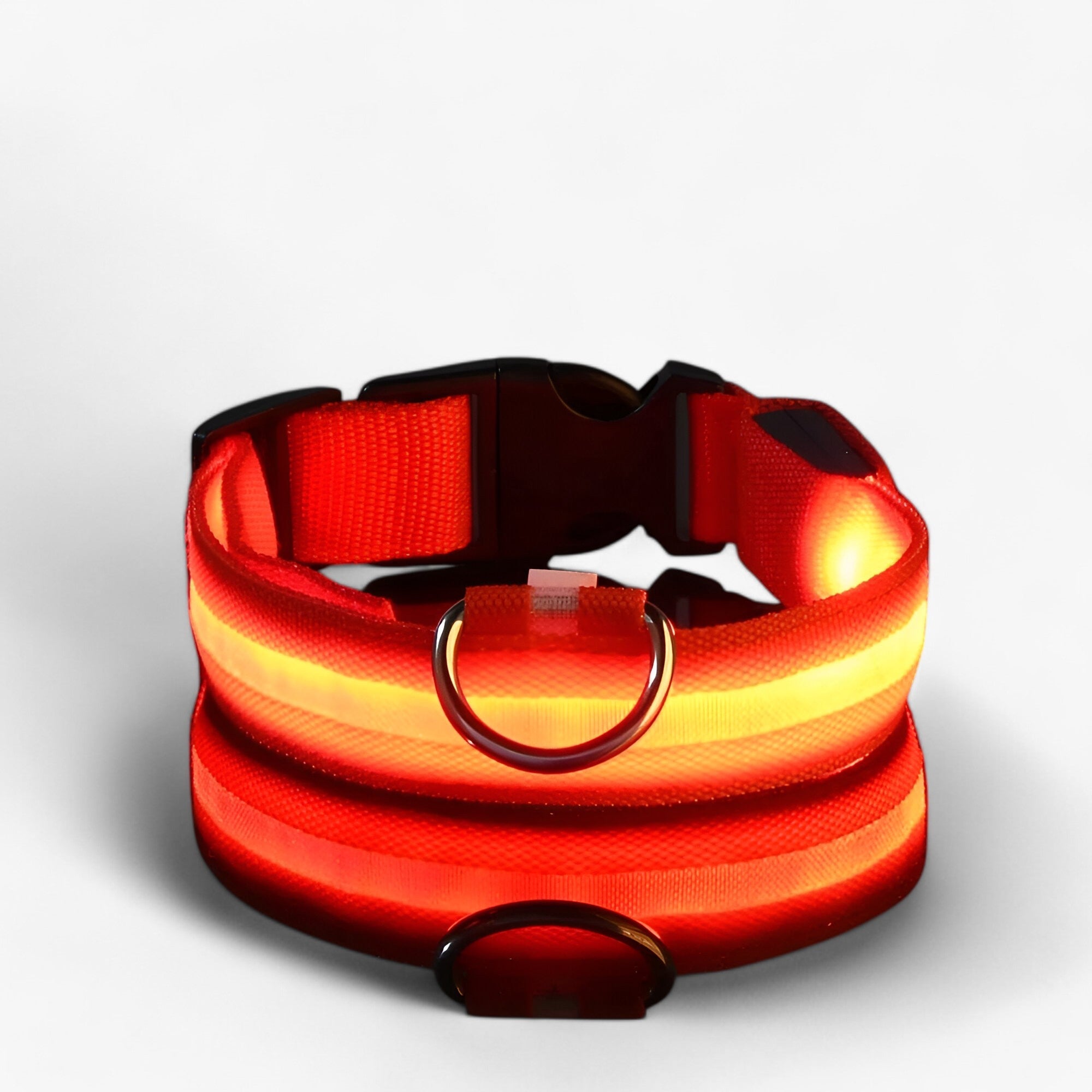 Lumi | Collare LED per Cani Sicuro - Visibile al Buio - - Dog Collar DOG SUPPLIES Pet supplies - Concept Palermo