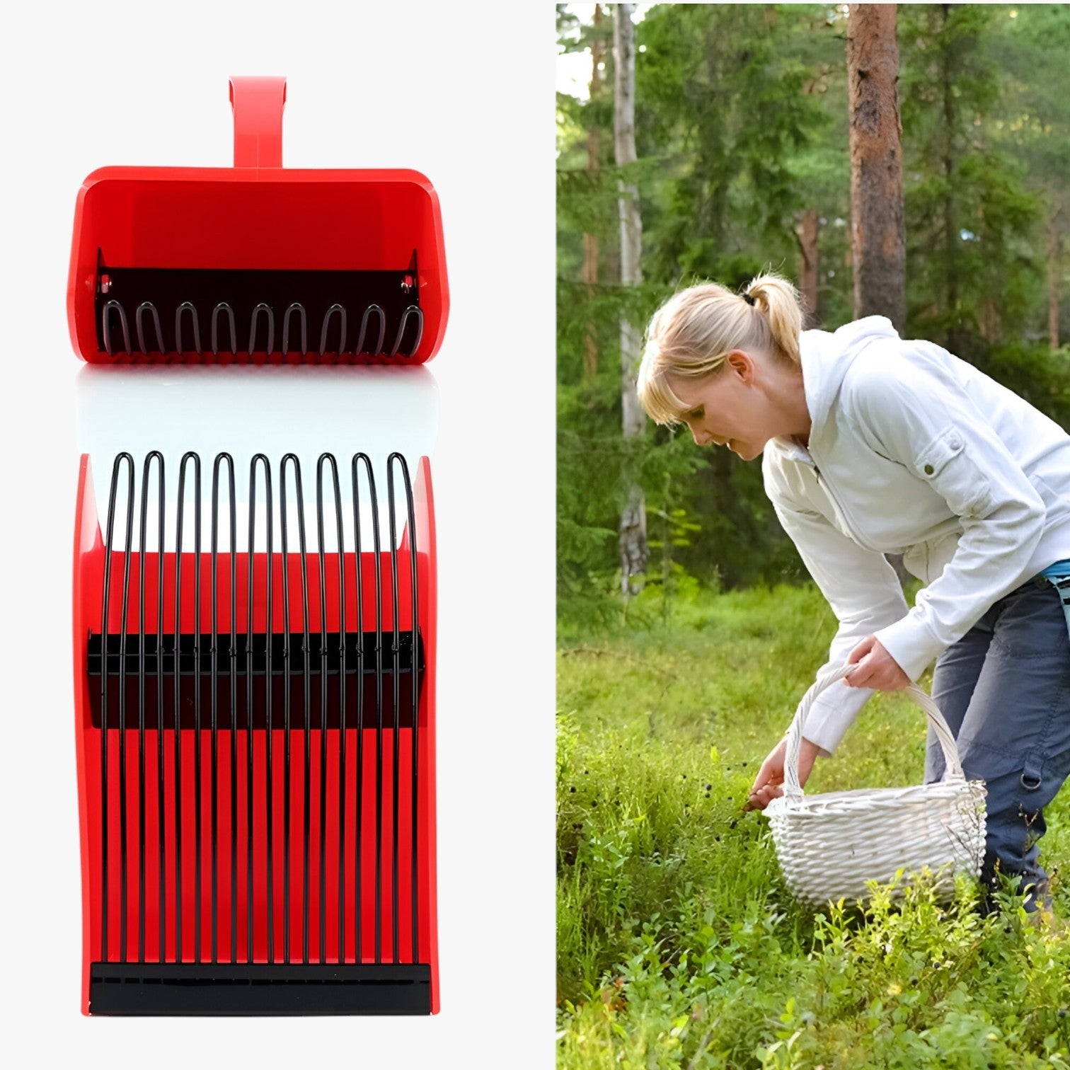 Tomir | Raccoglitore di bacche ergonomico – Raccogliere in modo veloce e senza sforzo - - Garden Garden accessories Garden supplies Home & Garden - Concept Palermo