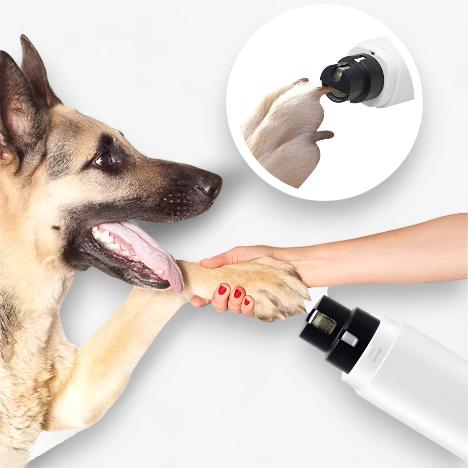 Flint | Tagliacapelli Elettrico con LED e Ricarica USB - - DOG SUPPLIES pet PET SUPPLIES - Concept Palermo