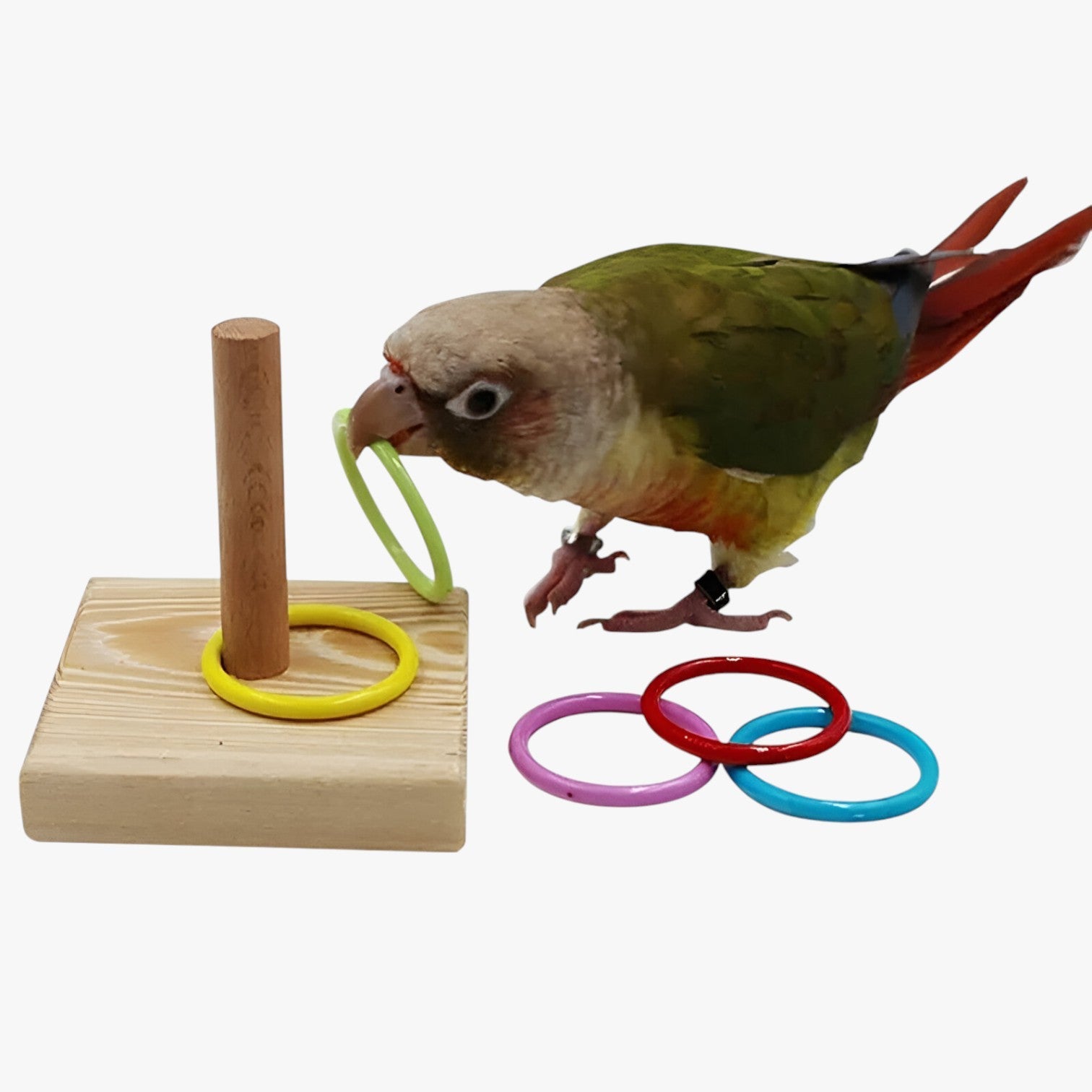 Carrie | Giocattolo per l'addestramento degli uccelli – Stimola intelligenza e divertimento - - bird bird toys birdproduct pet PET SUPPLIES - Concept Palermo